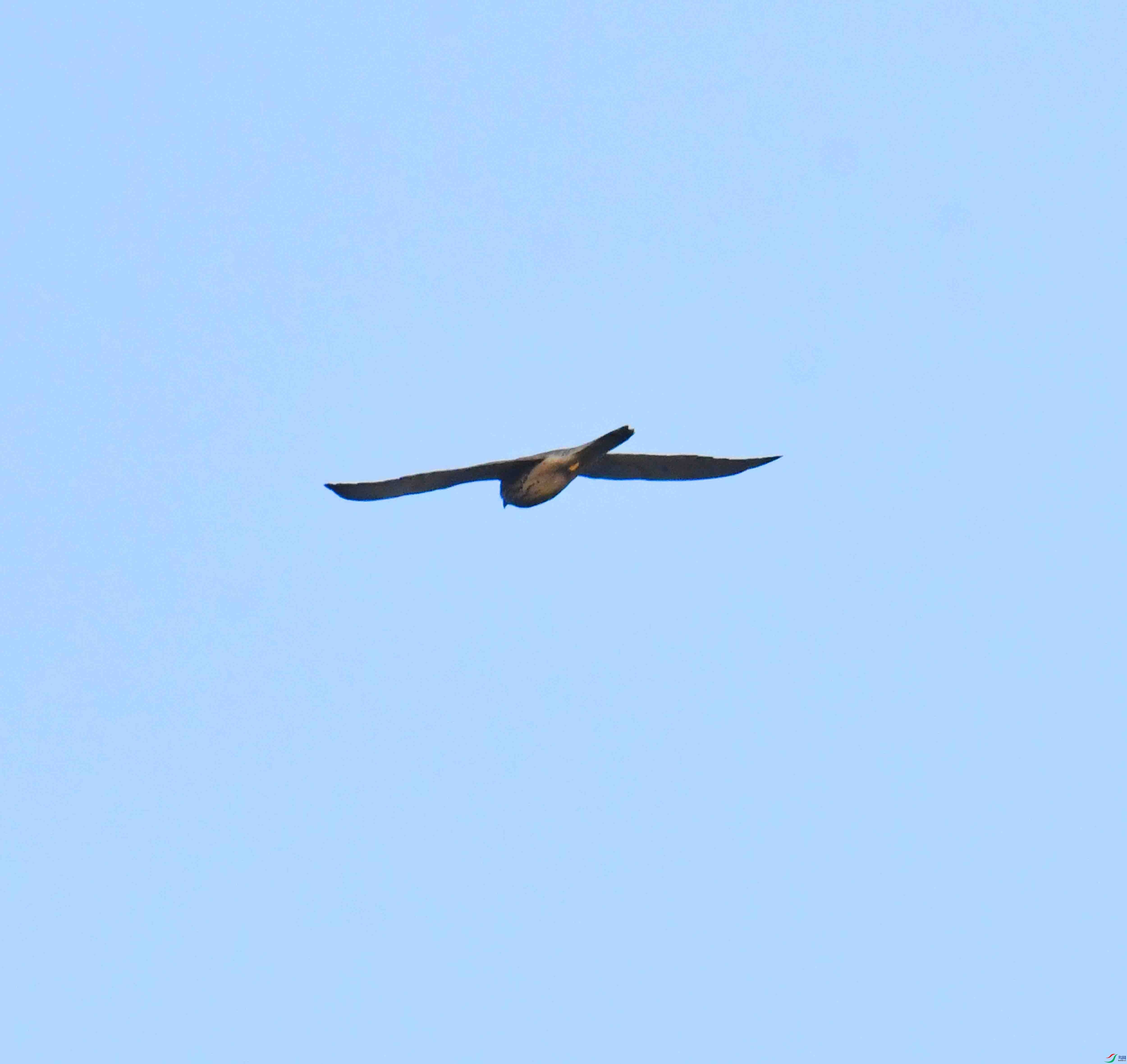 DSC_5521.JPG