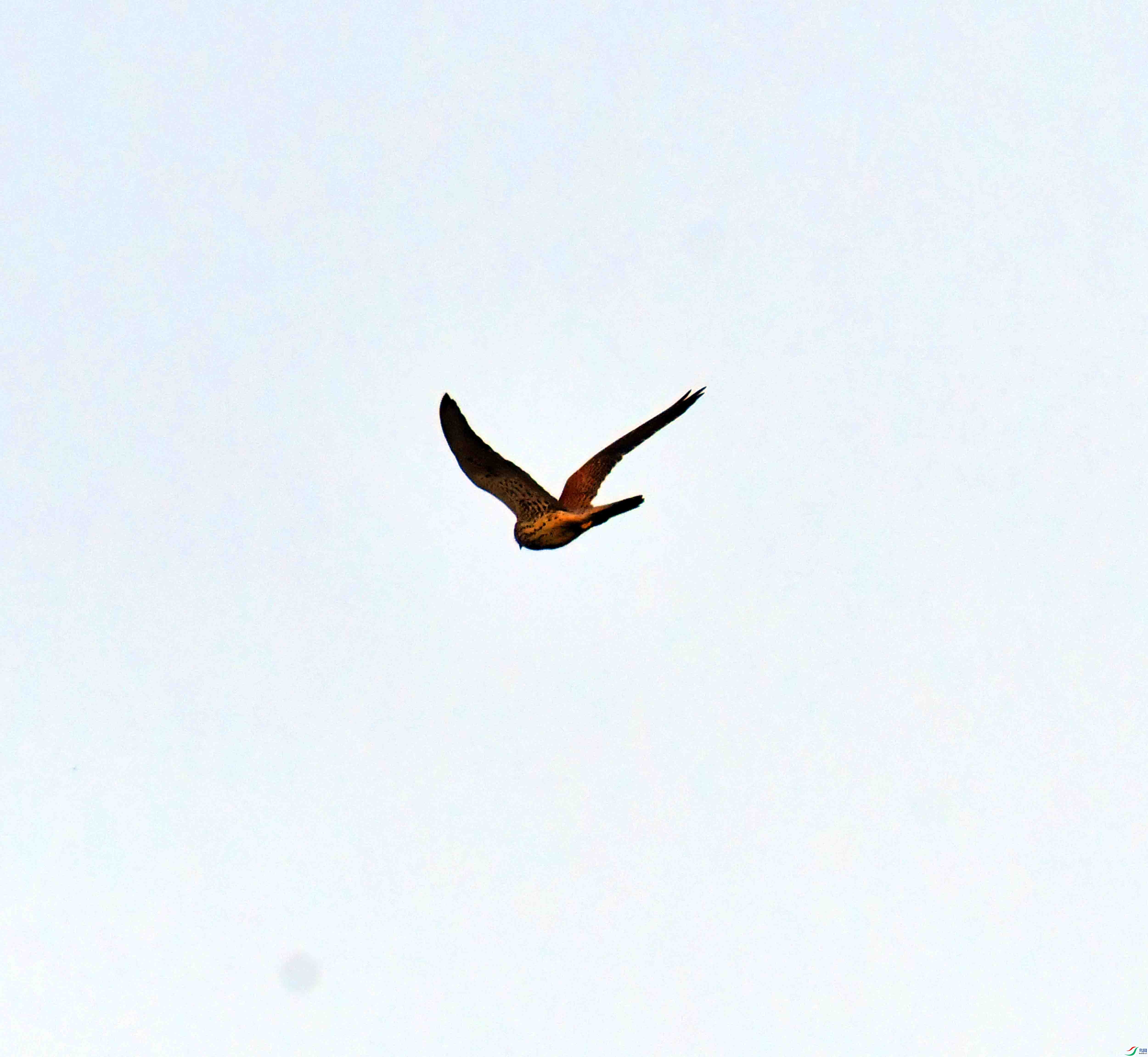 DSC_5524.JPG