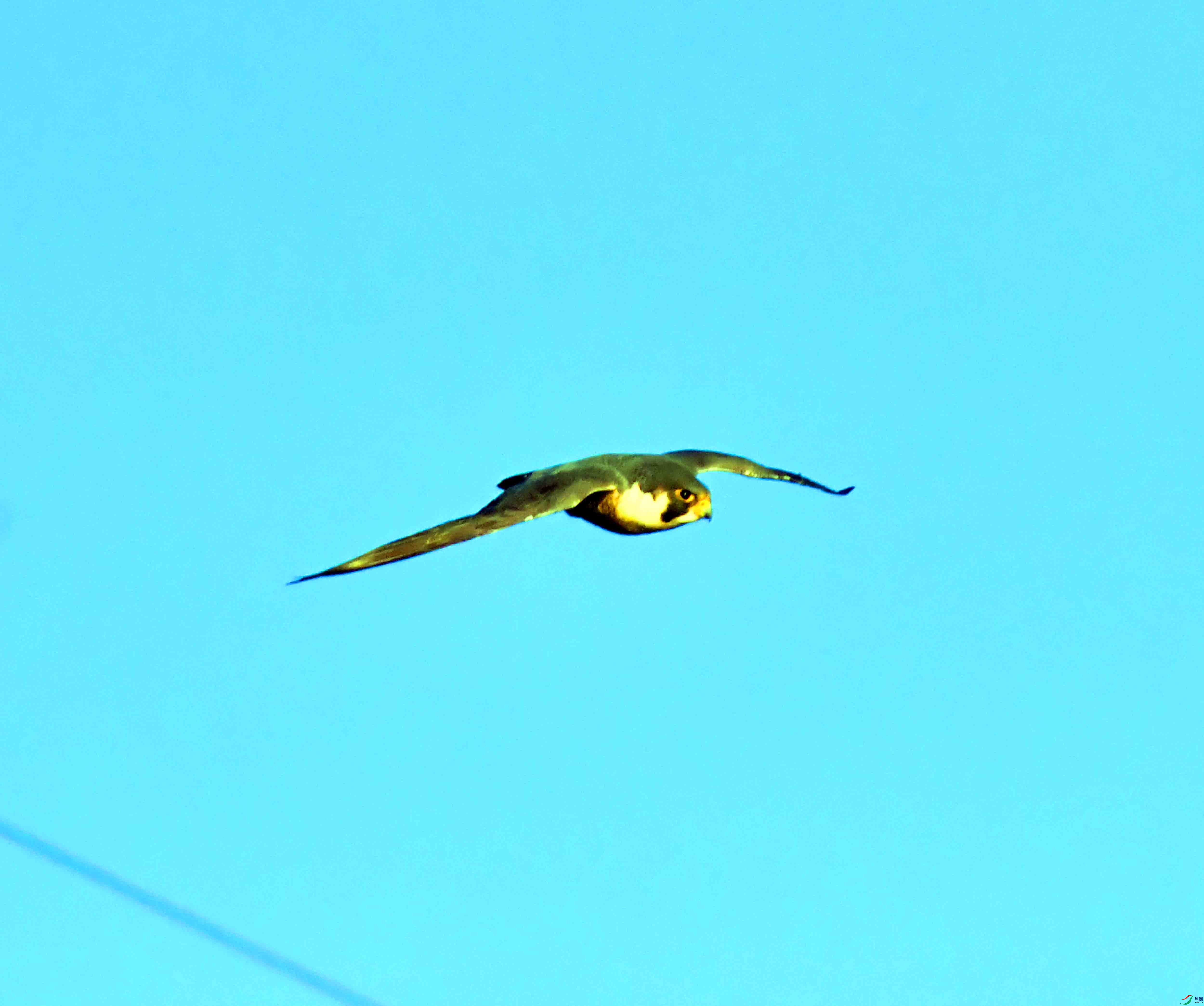 DSC_6250.JPG