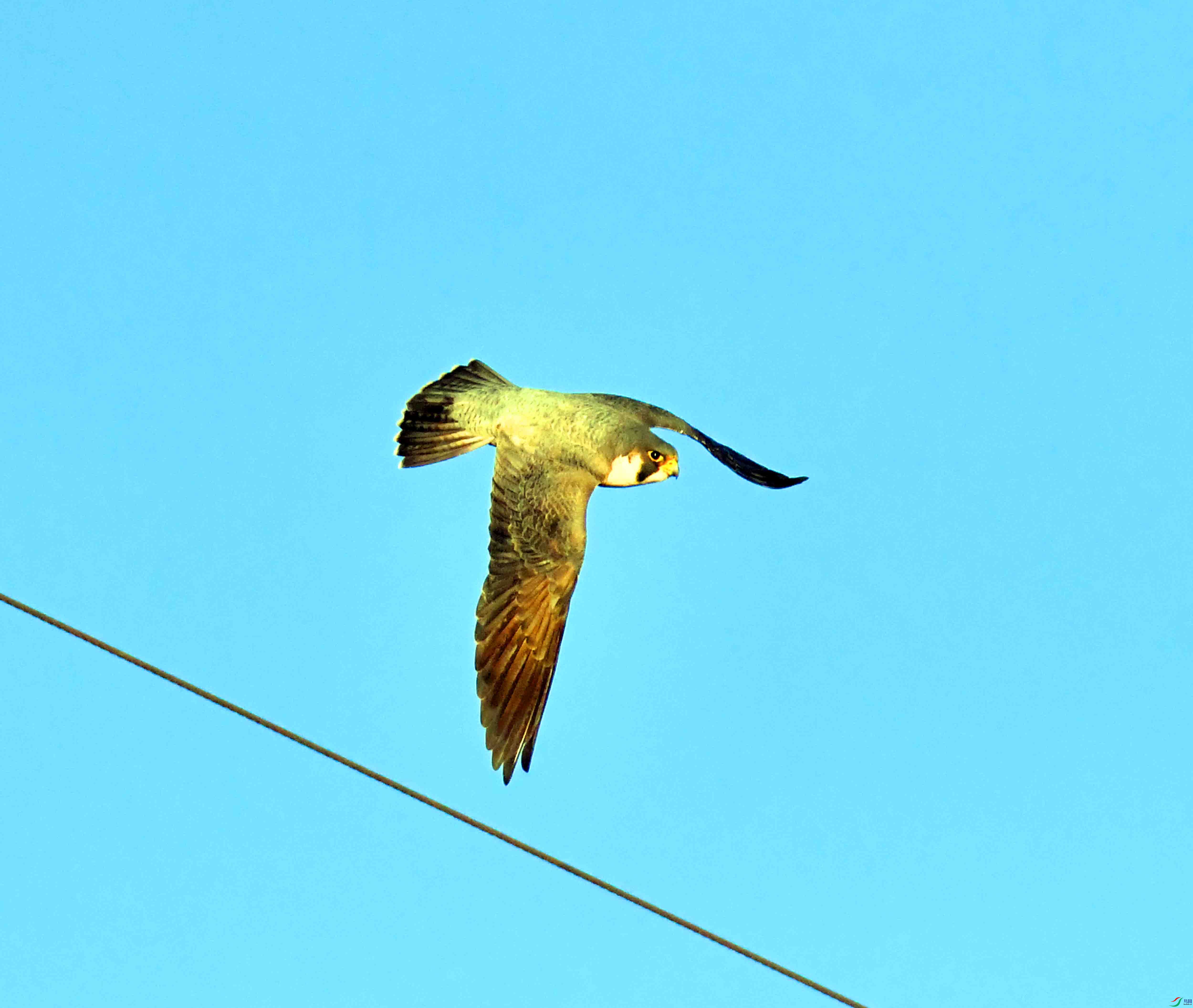 DSC_6249.JPG