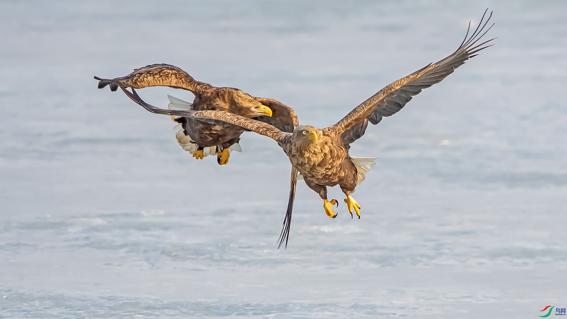 DSC_6974a.jpg