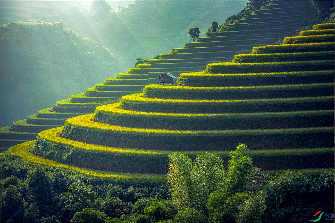 ��ɽ��԰���