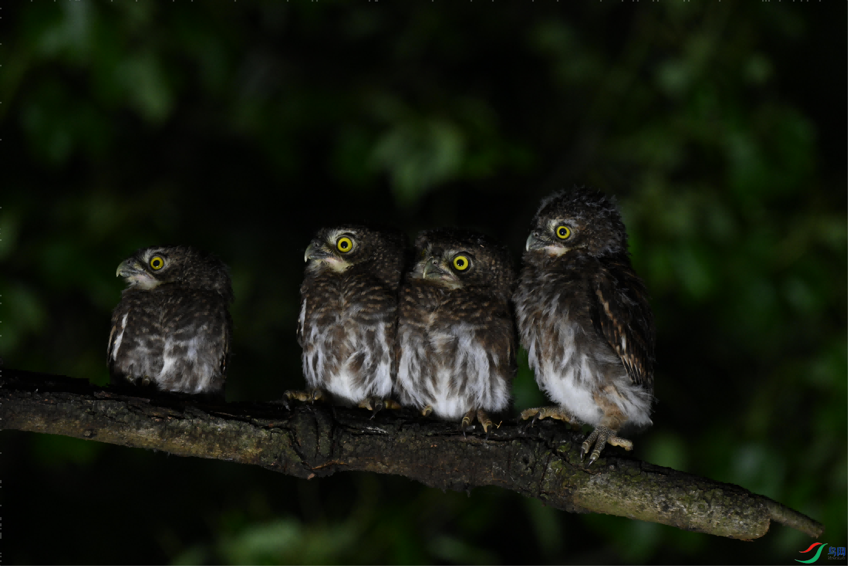 DSC_0699(1).png