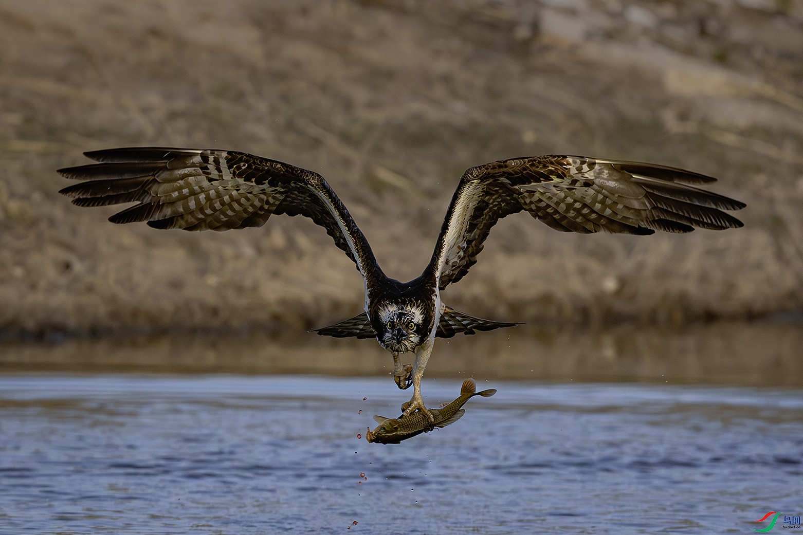 _31A0101-����ǿ-NR ���� 2.jpg