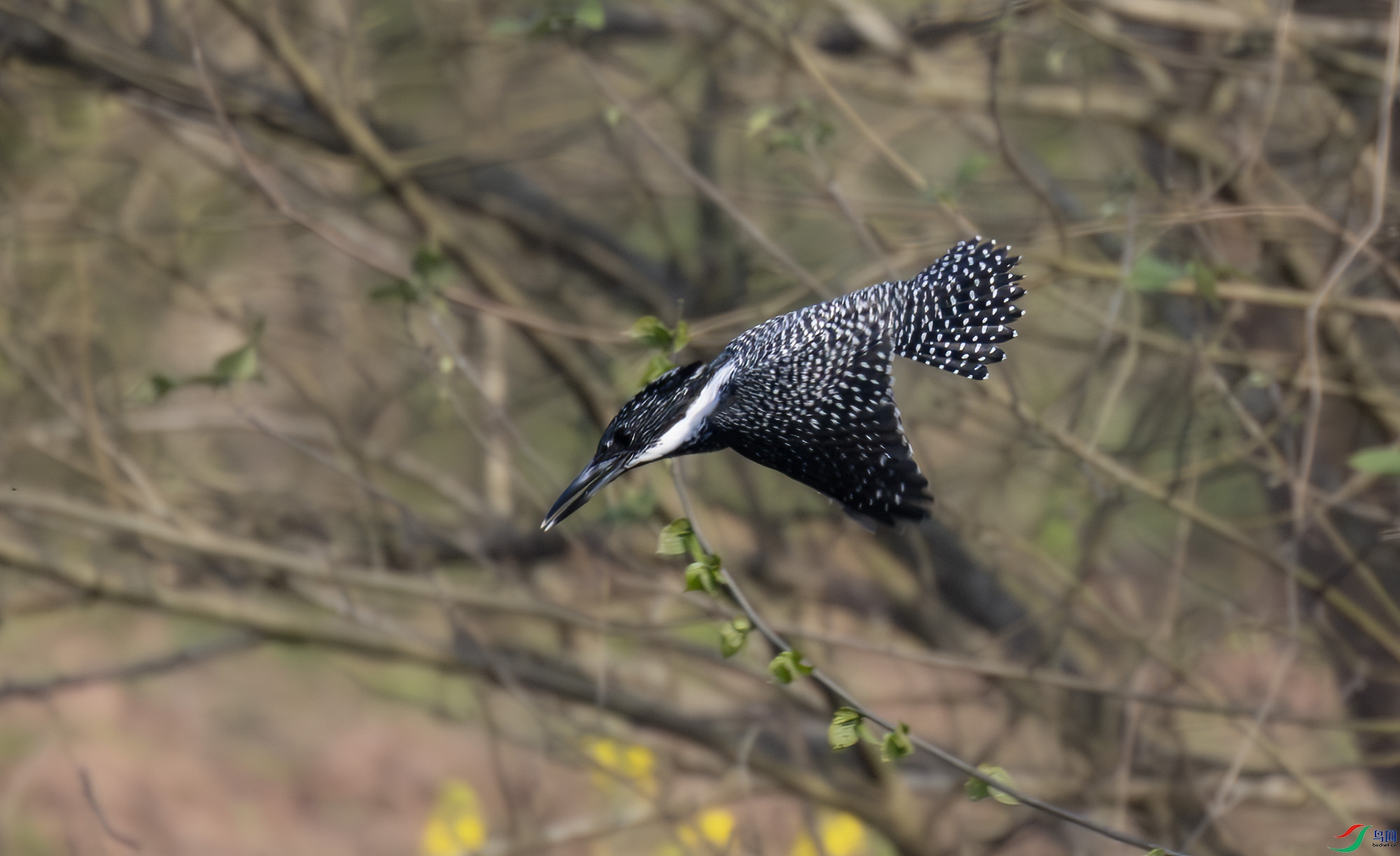 2I1A8434-����ǿ-NR ����.jpg