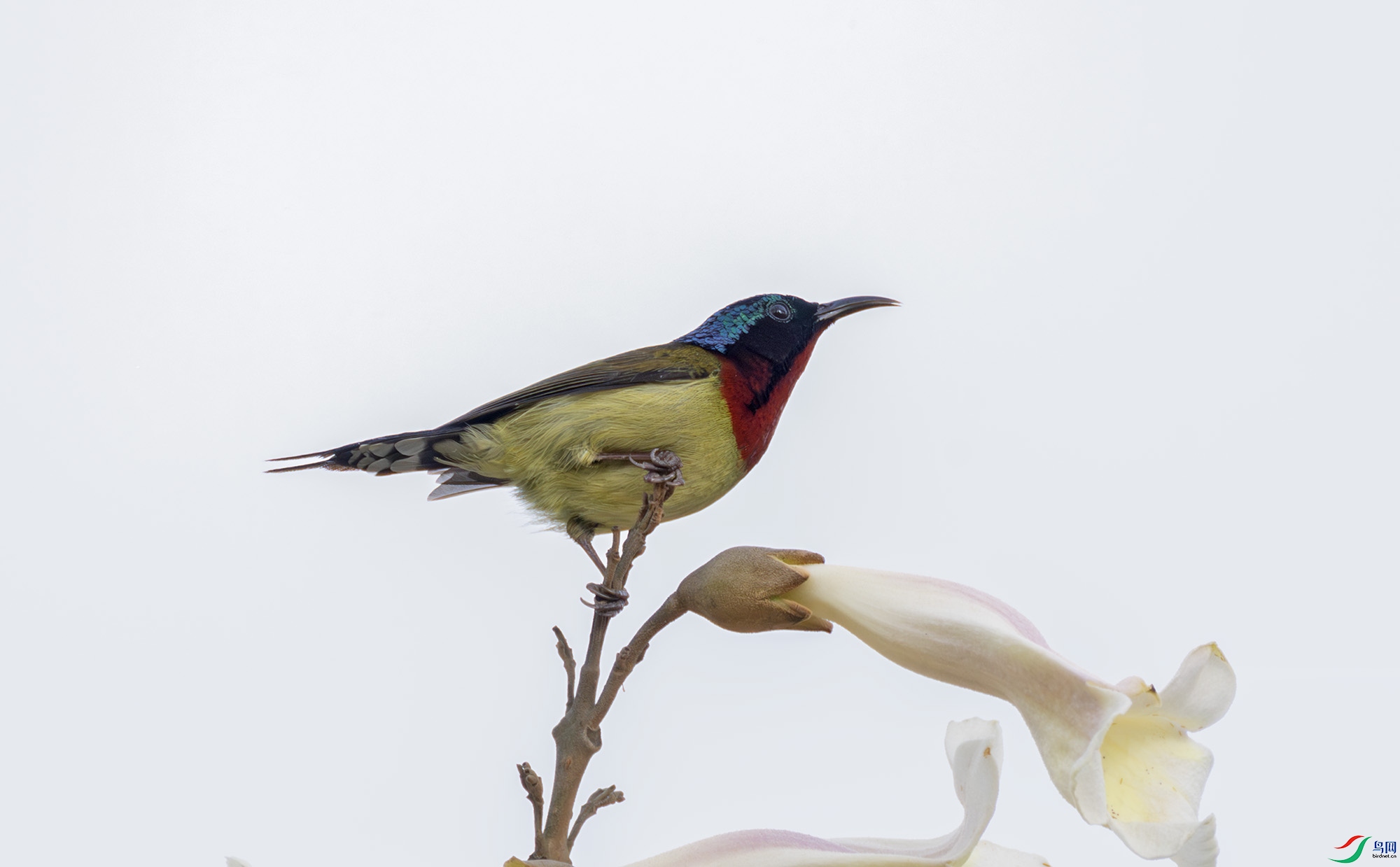 2I1A1859-����ǿ-NR ����.jpg