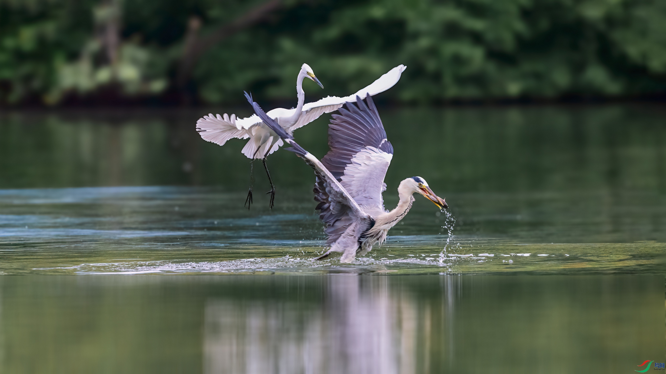 ��ƬDSC_7821 ����.jpg