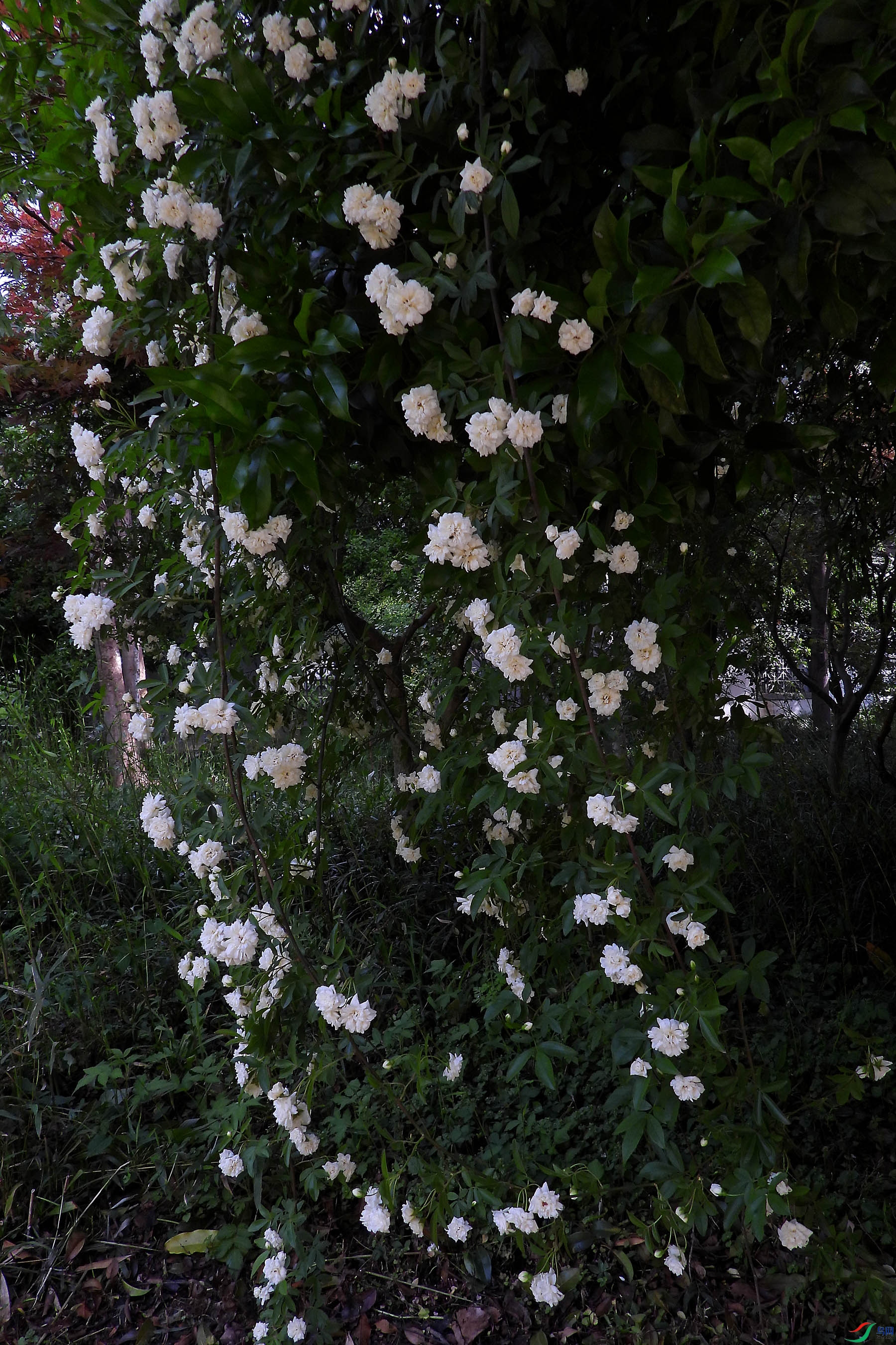 DSCN5647.JPG