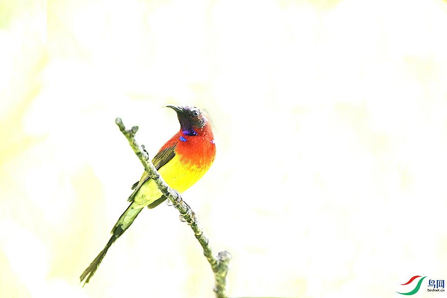 DSC_1210.JPG