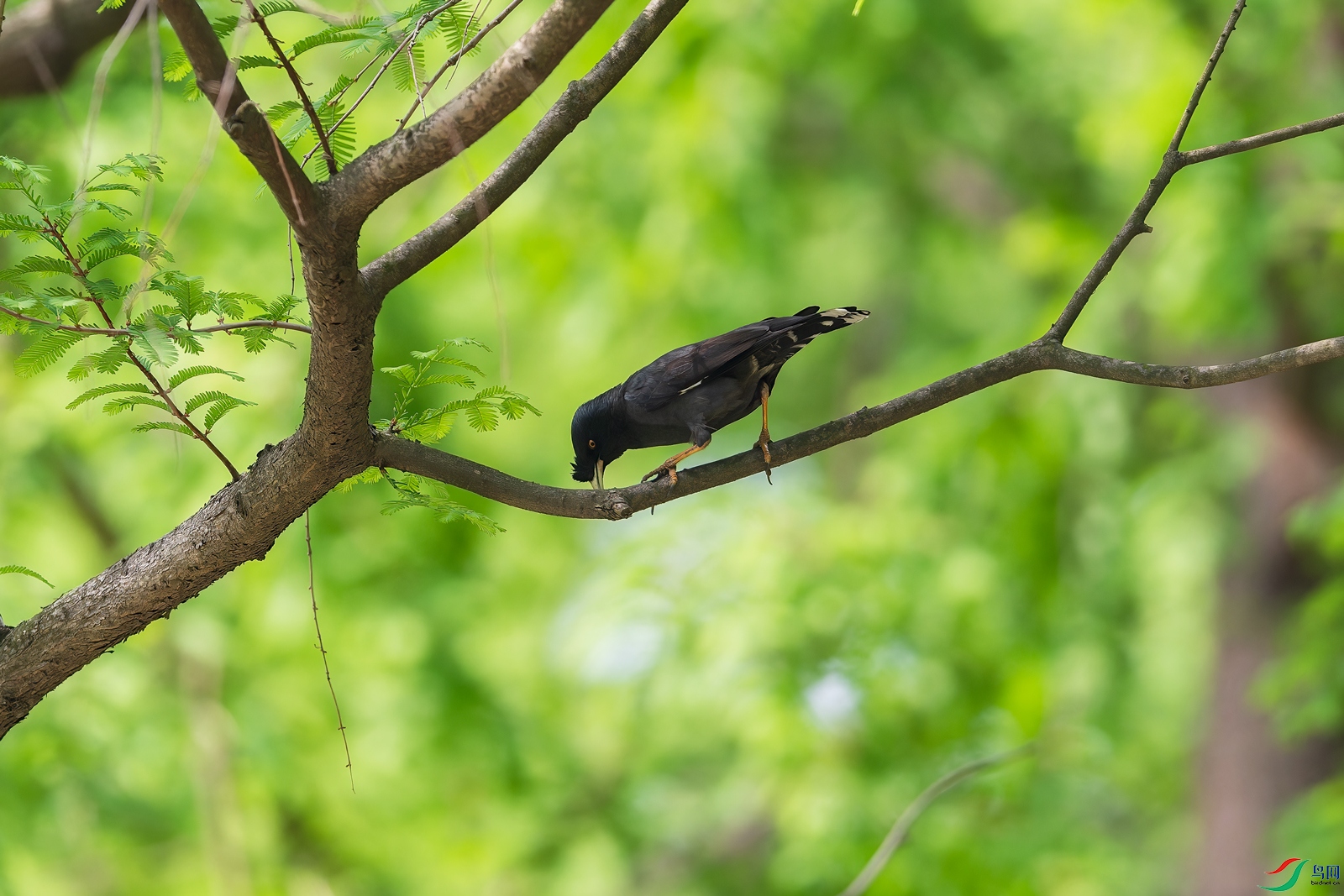 _DSC8823-NEF_DxO_DeepPRIMEXD-1.jpg
