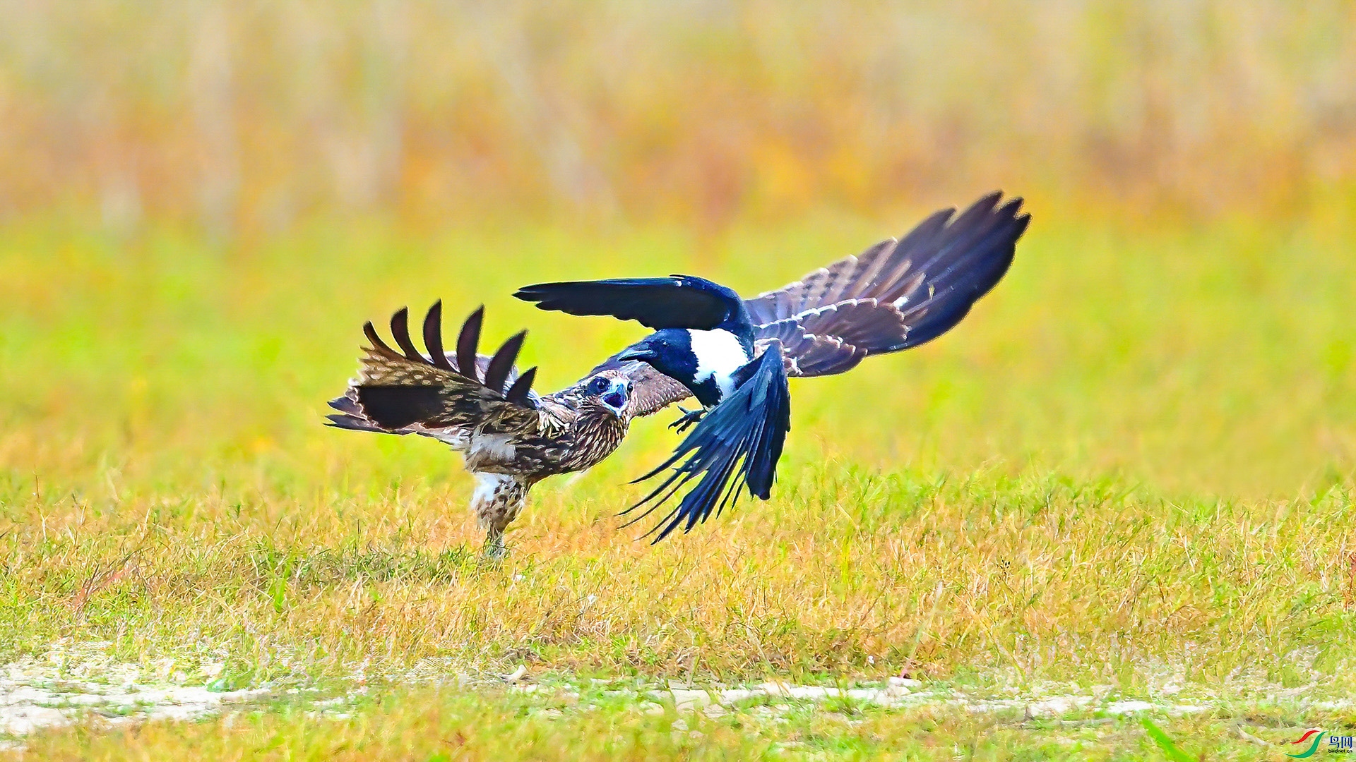 XHH_4390  ���� 3.jpg