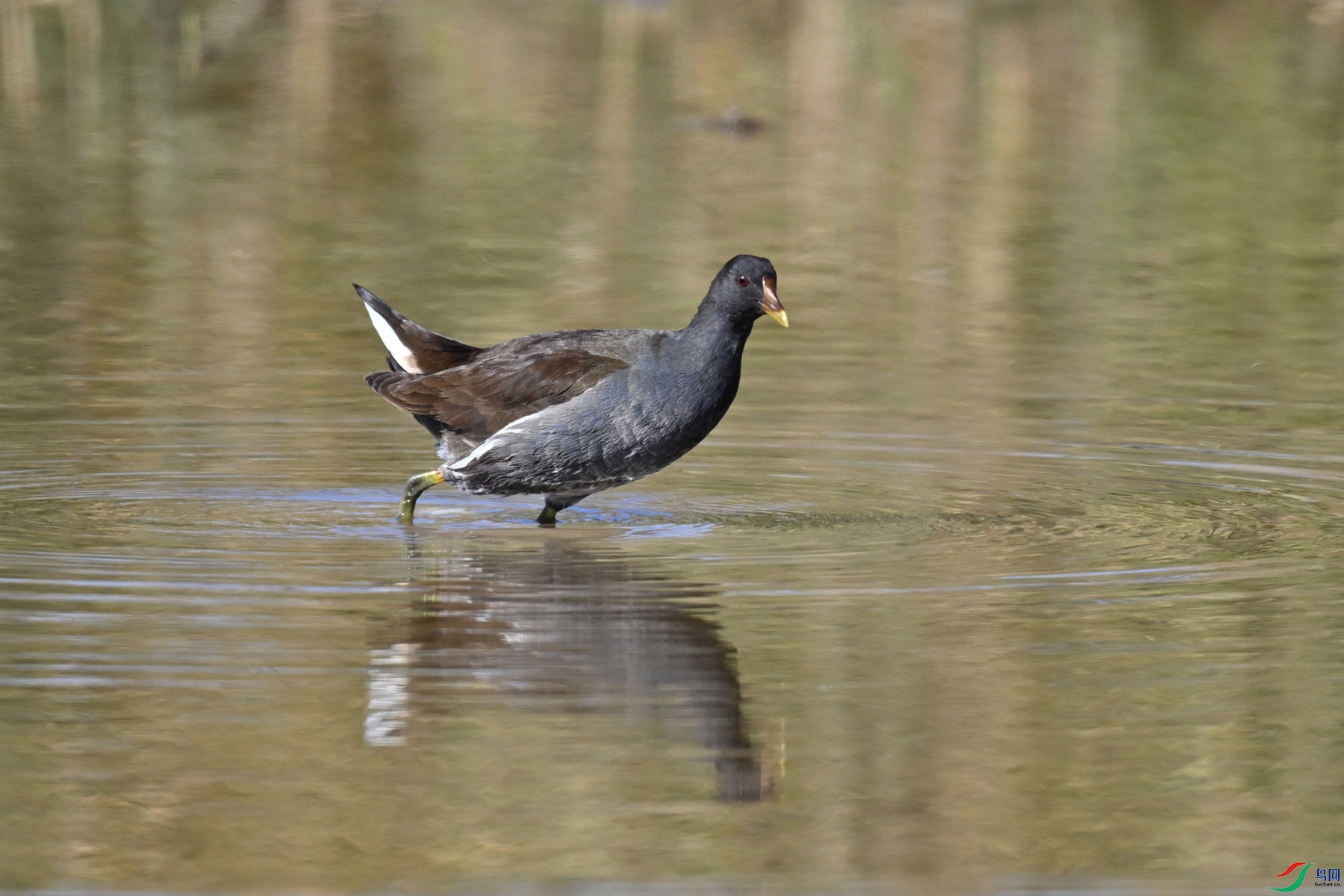 DSC_8216.JPG