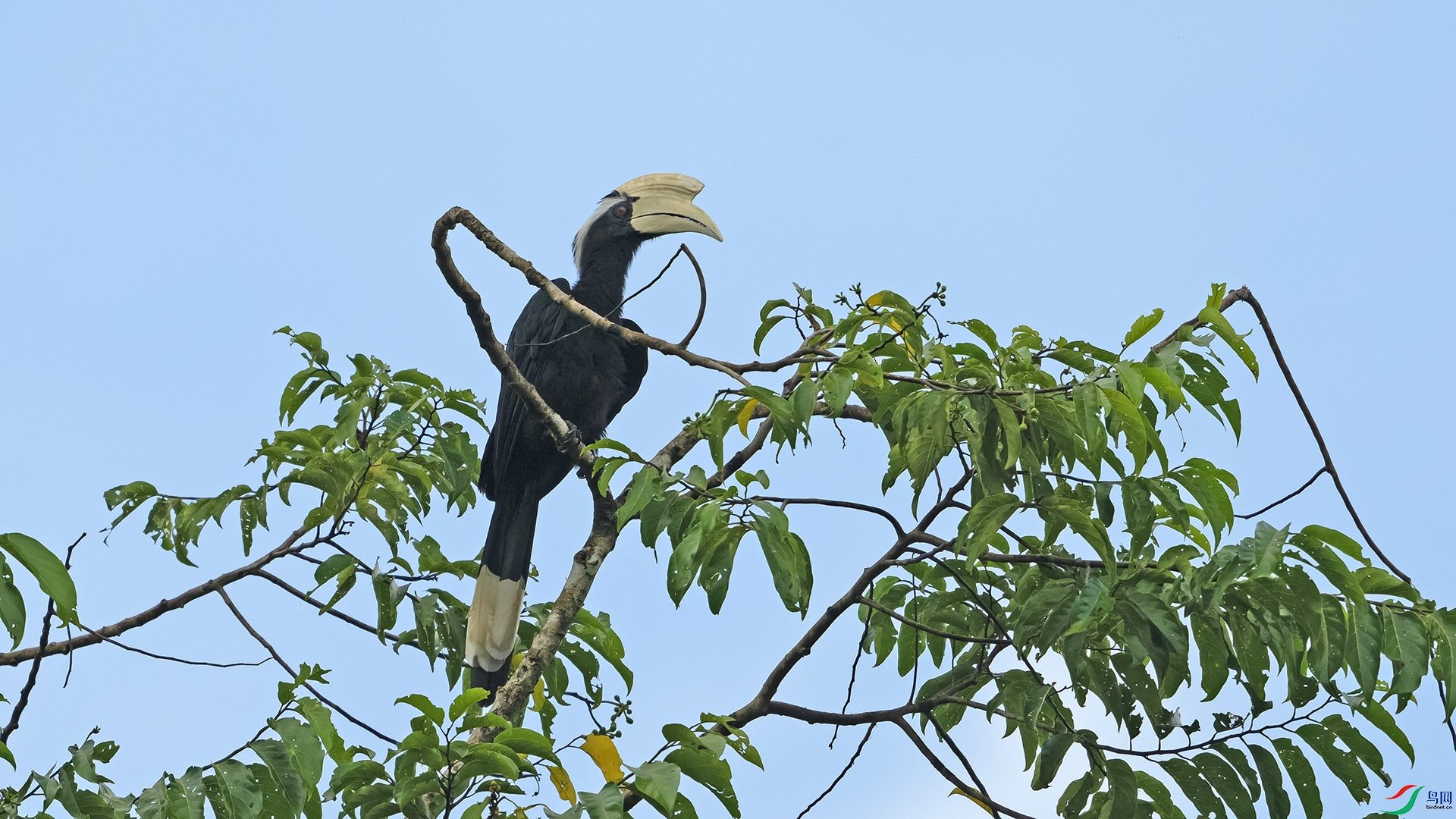 DSC_0872.jpg