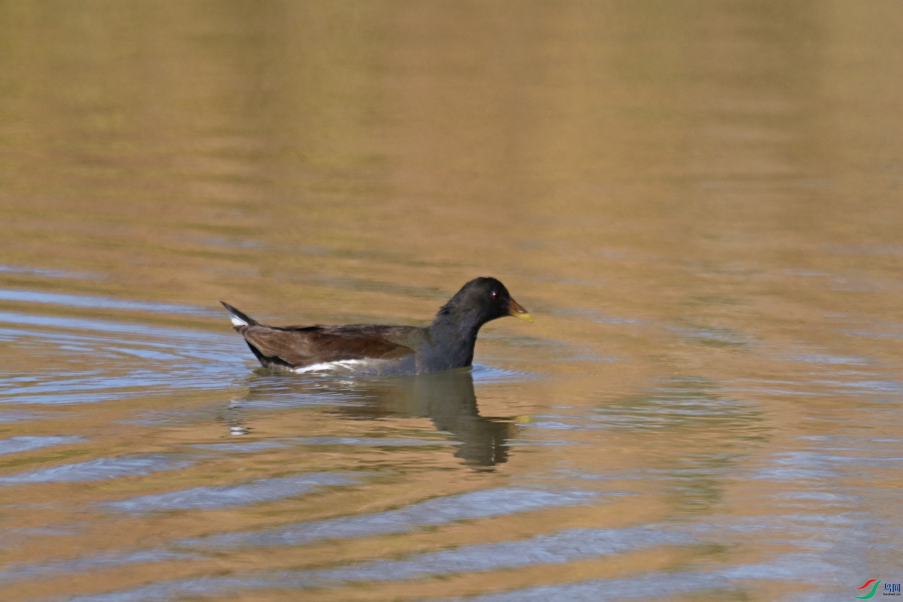 DSC_8218.JPG