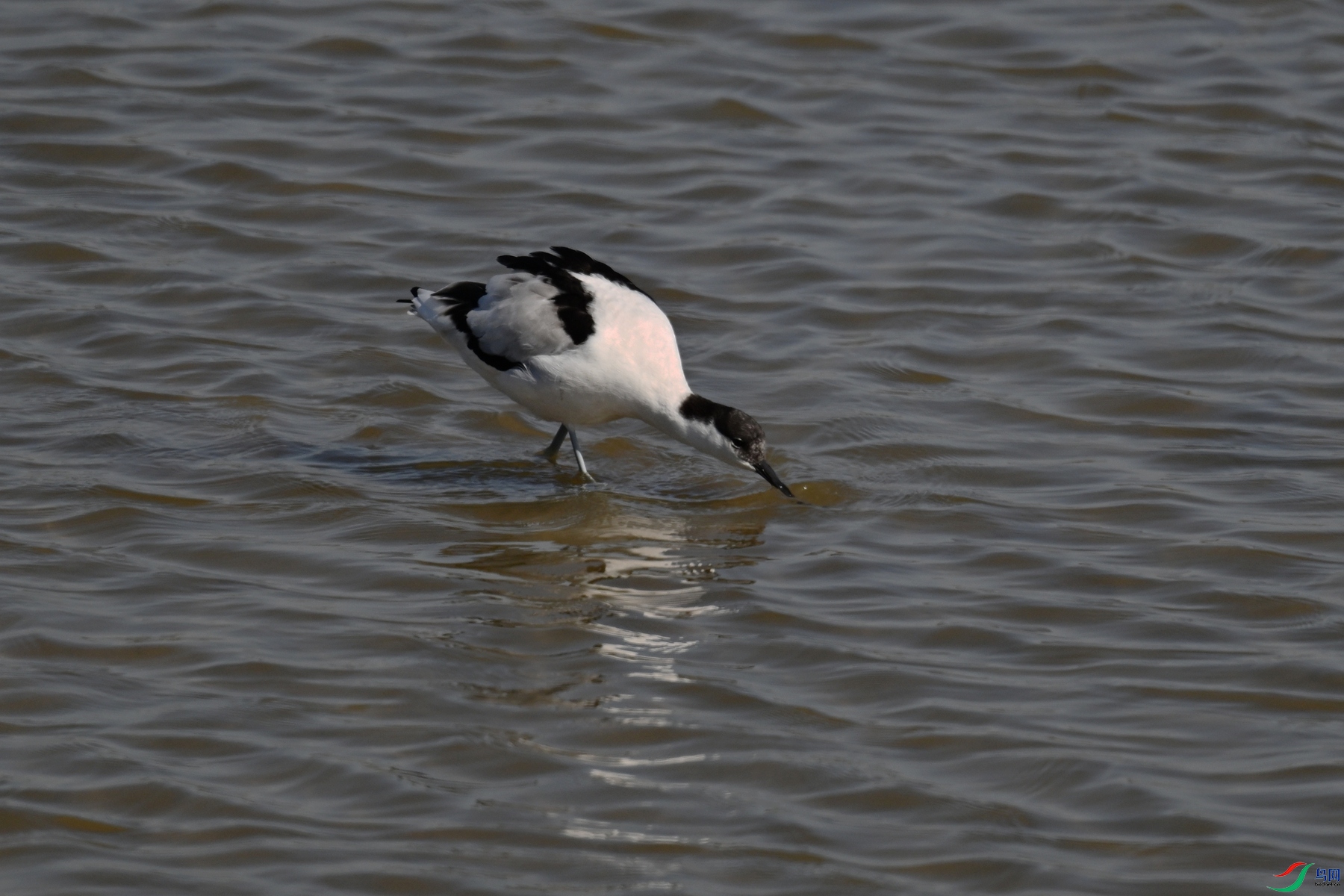DSC_8269.JPG