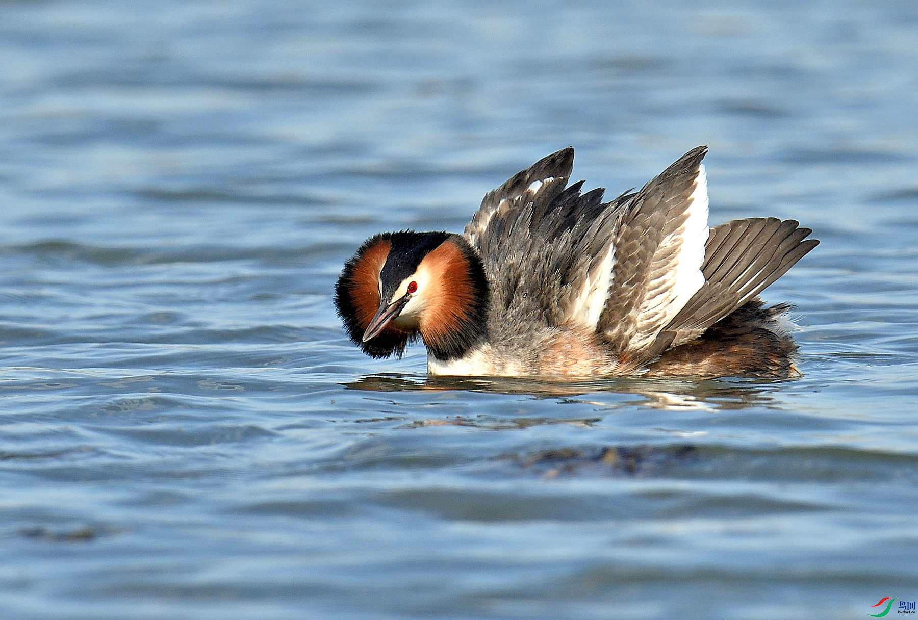 DSC_3893.JPG
