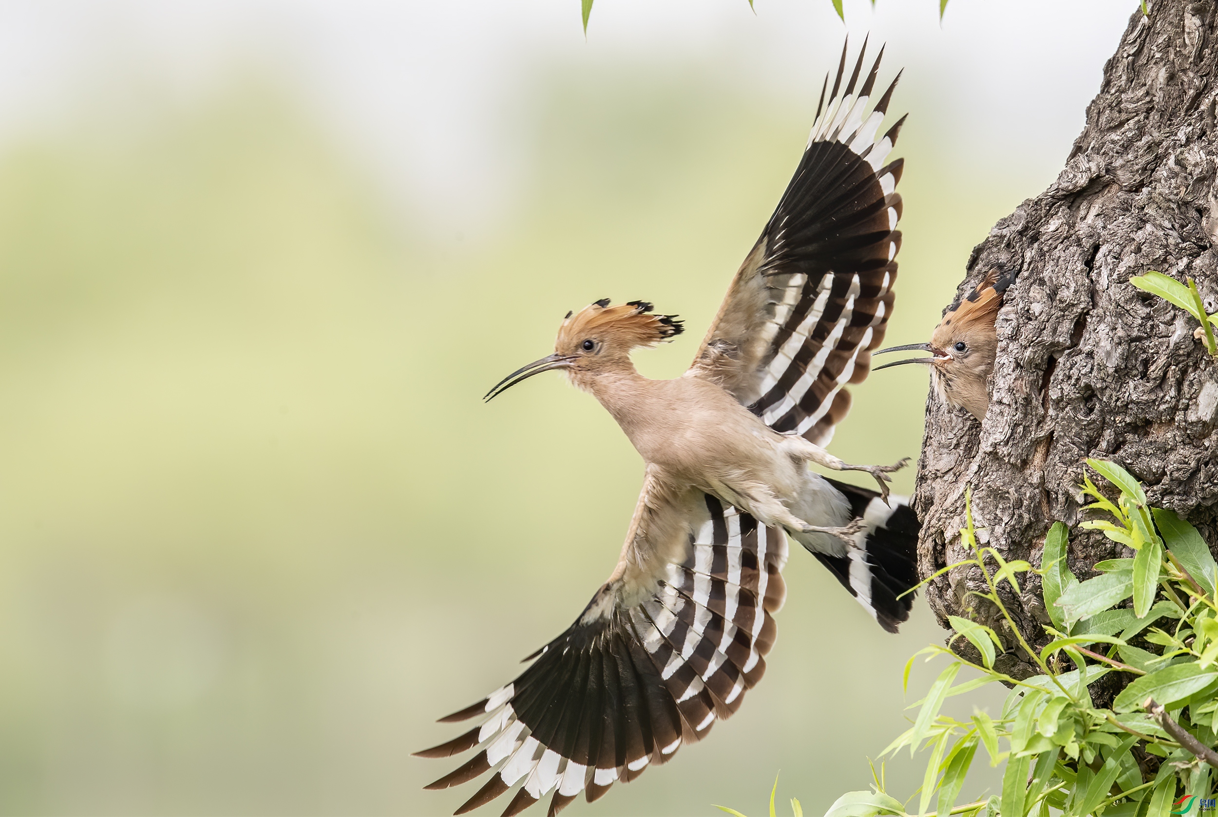 AC3I1084 ����.jpg