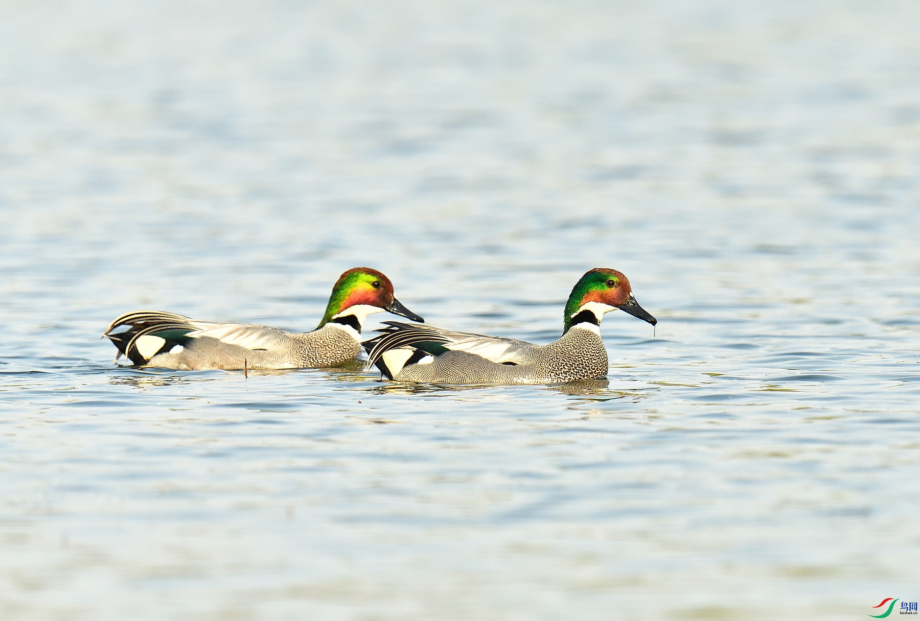 DSC_5477.JPG