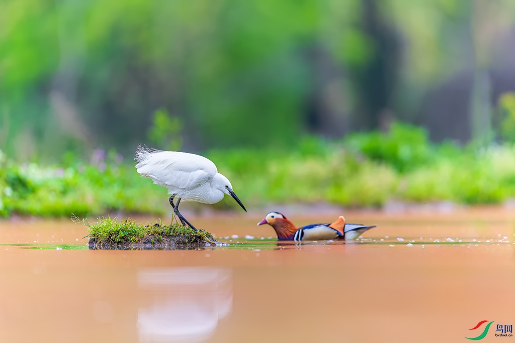 hbgsR3250410 (1406)_DxO.jpg