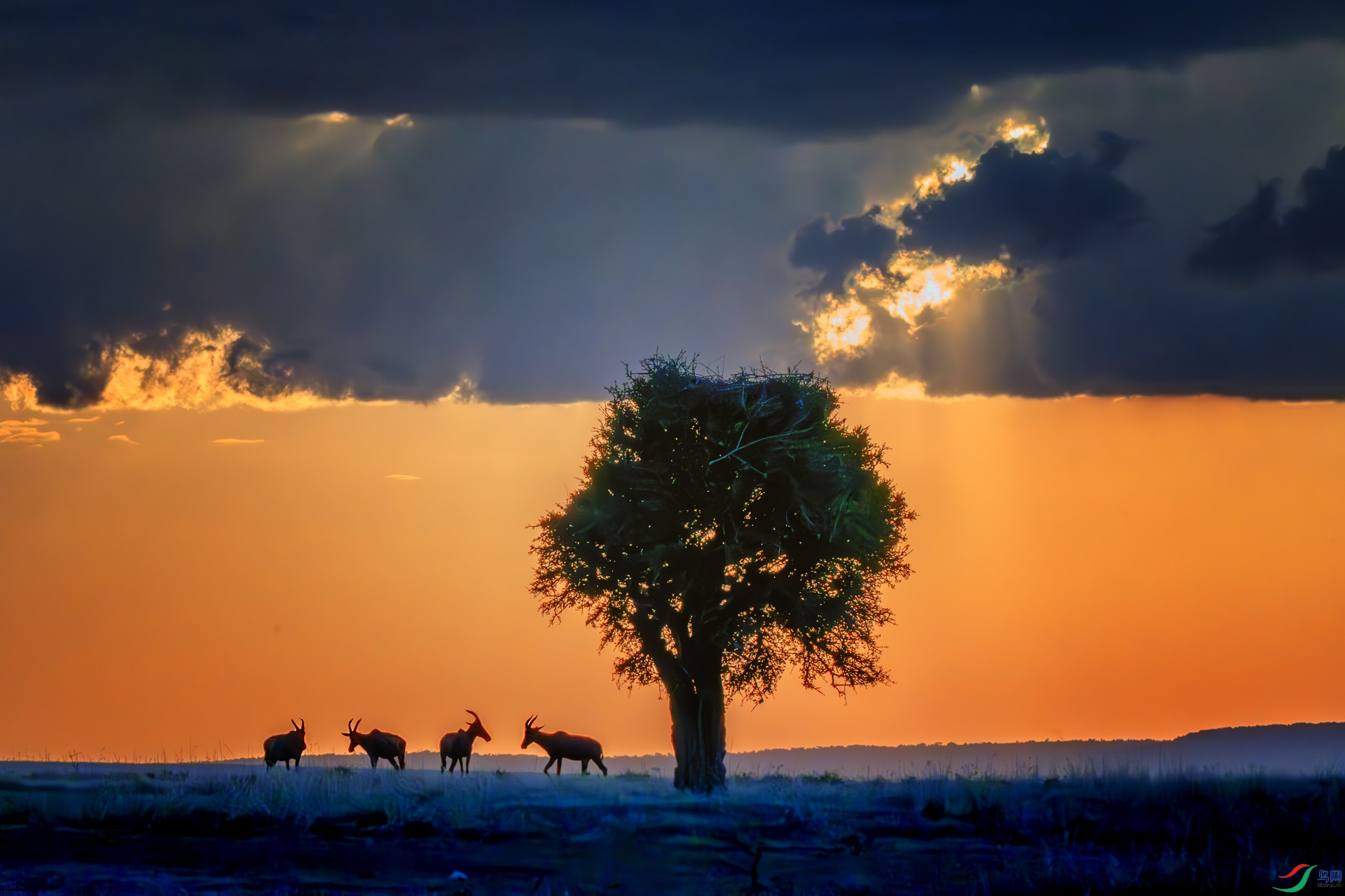 _DSC4825-����ǿ-NR ����_1.jpg