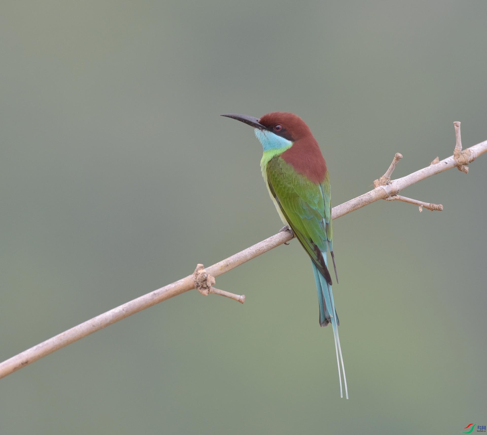 D72_9910.jpg