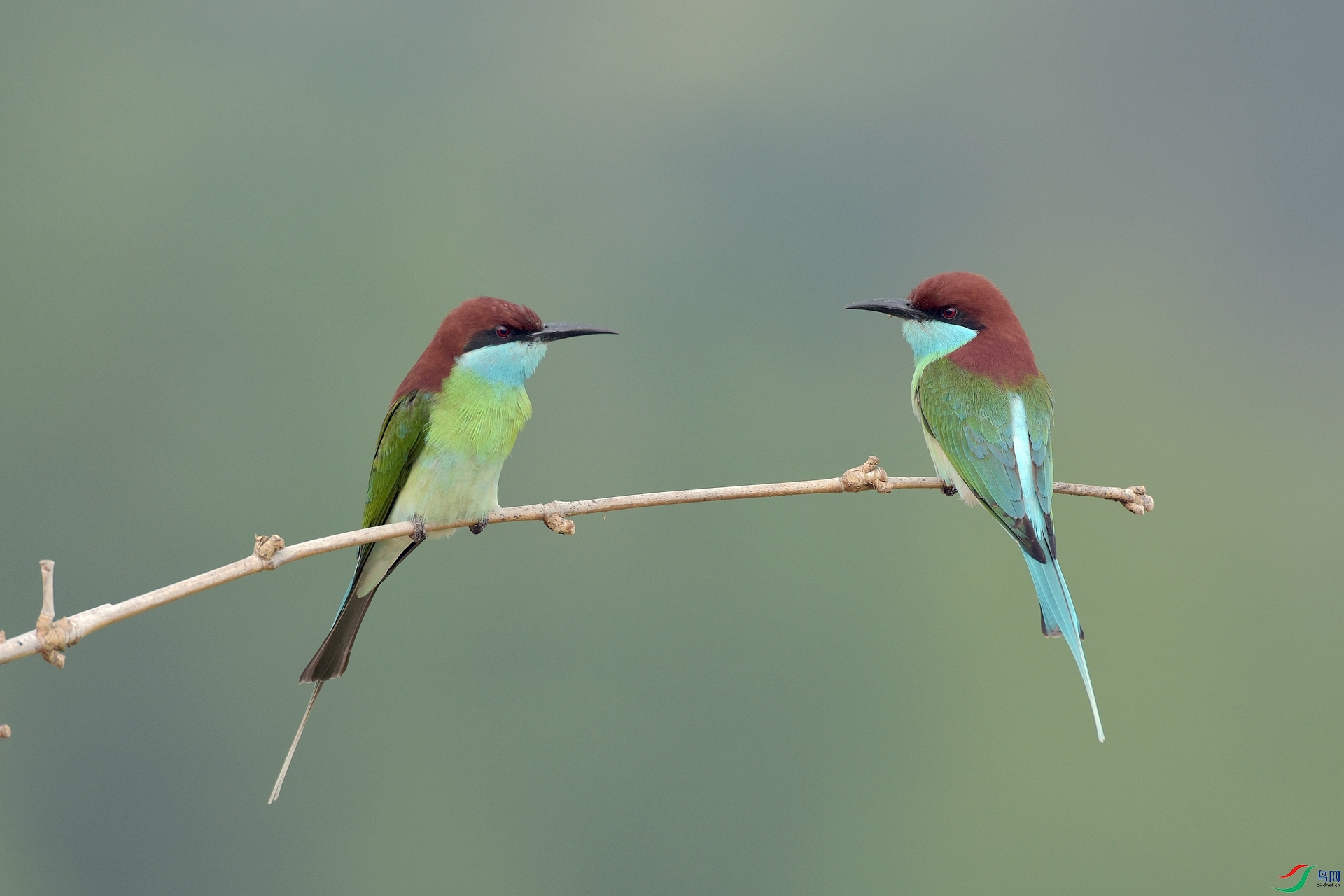 D72_9973.jpg