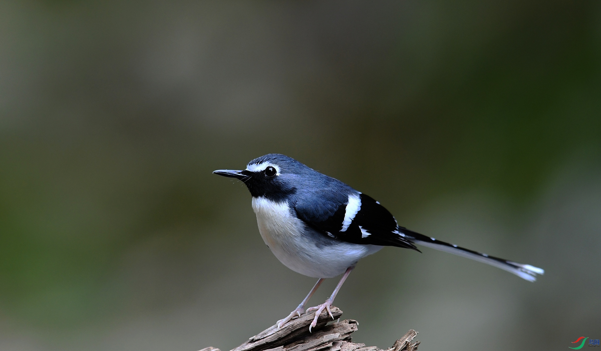DSC_5978.jpg