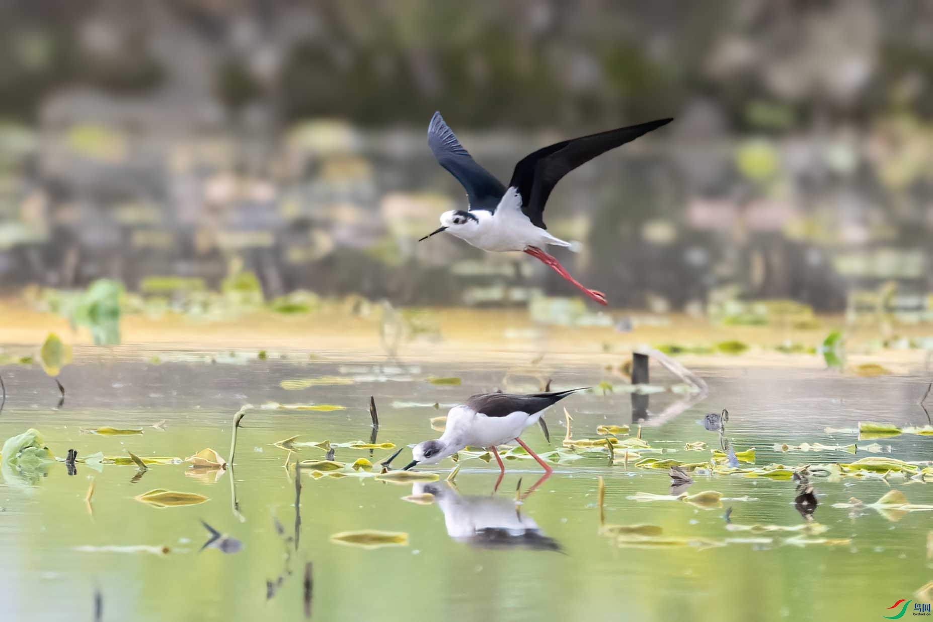 DSC_3689 ����.jpg