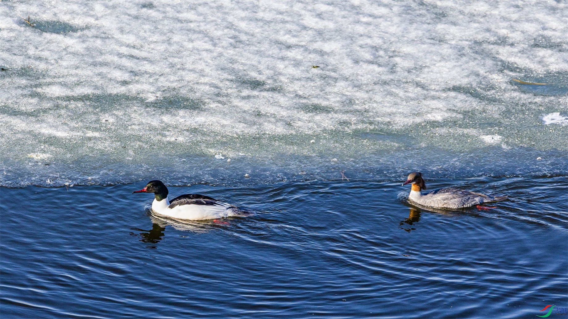 1K3A7086 ����1.jpg