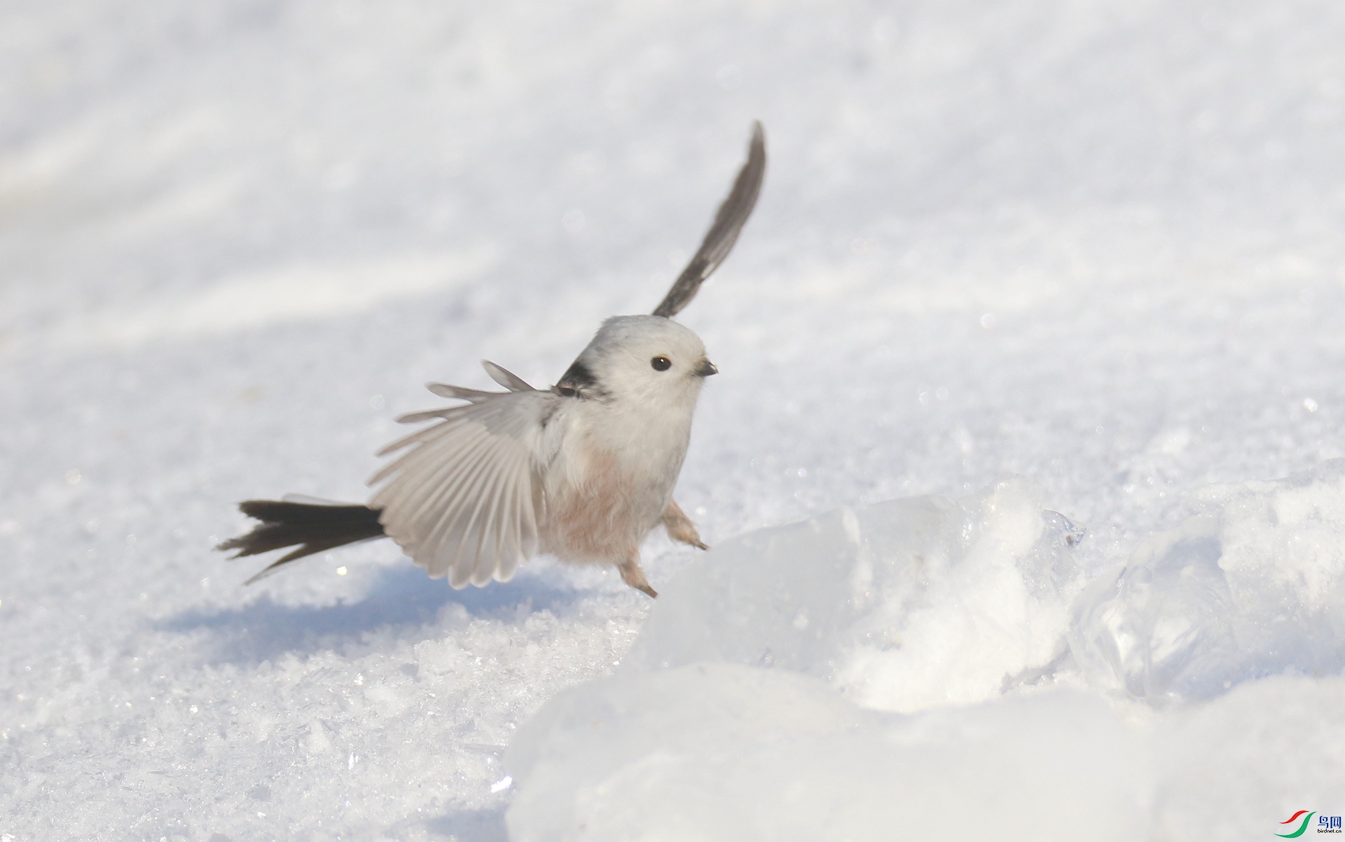 0G1A2995 ����.jpg