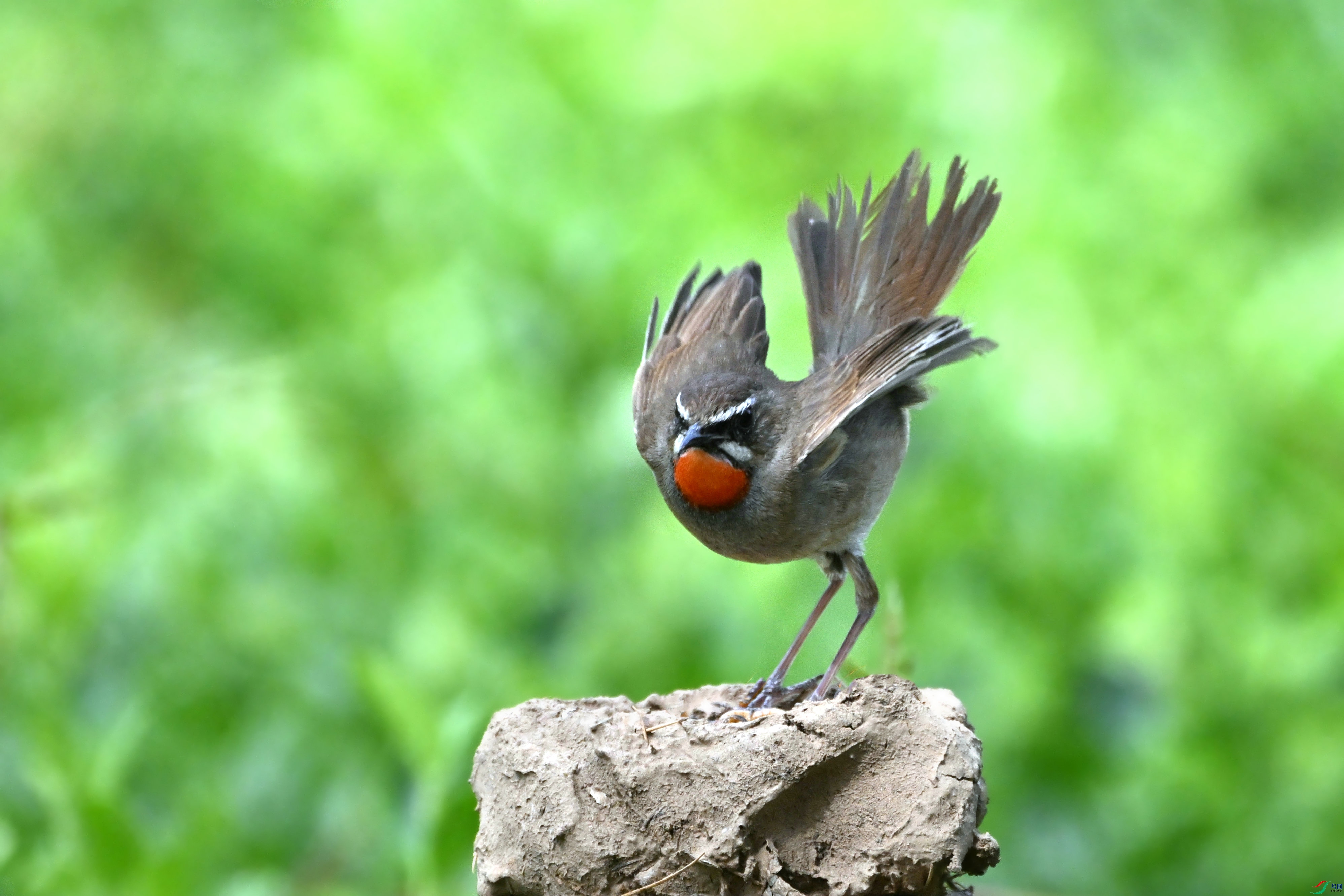 DSC_6575.JPG
