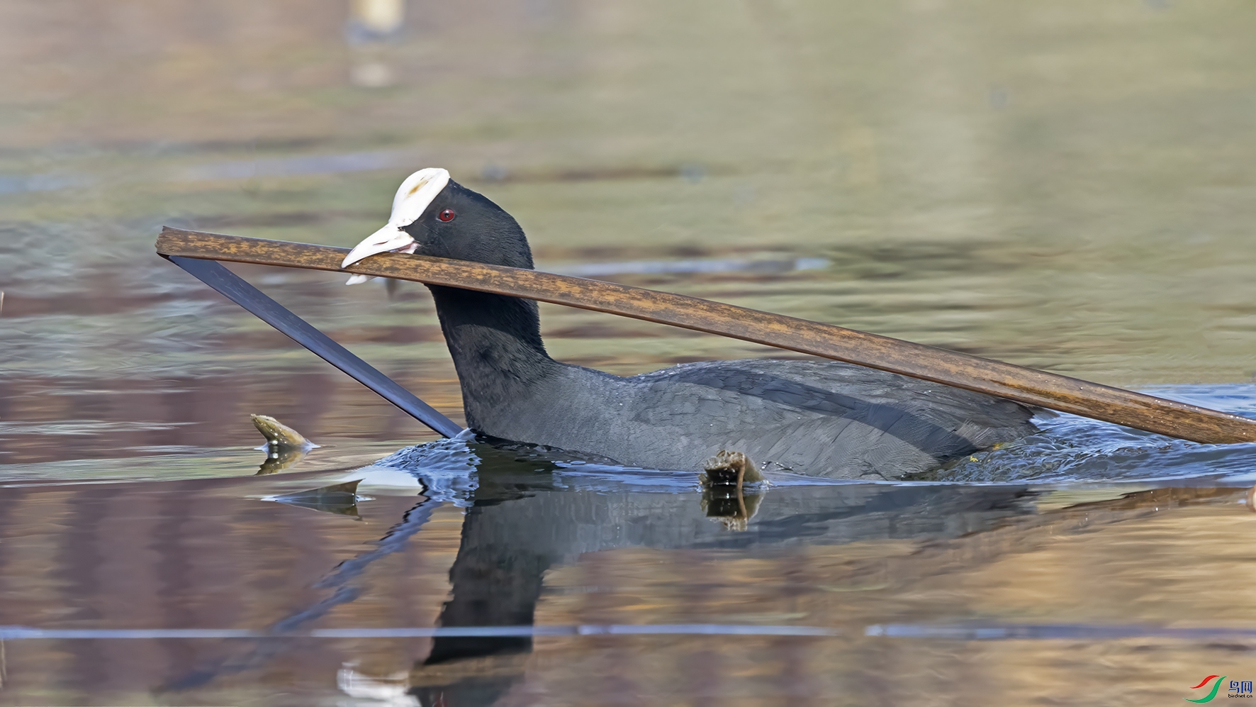 3U2A5130 ���� 2.jpg