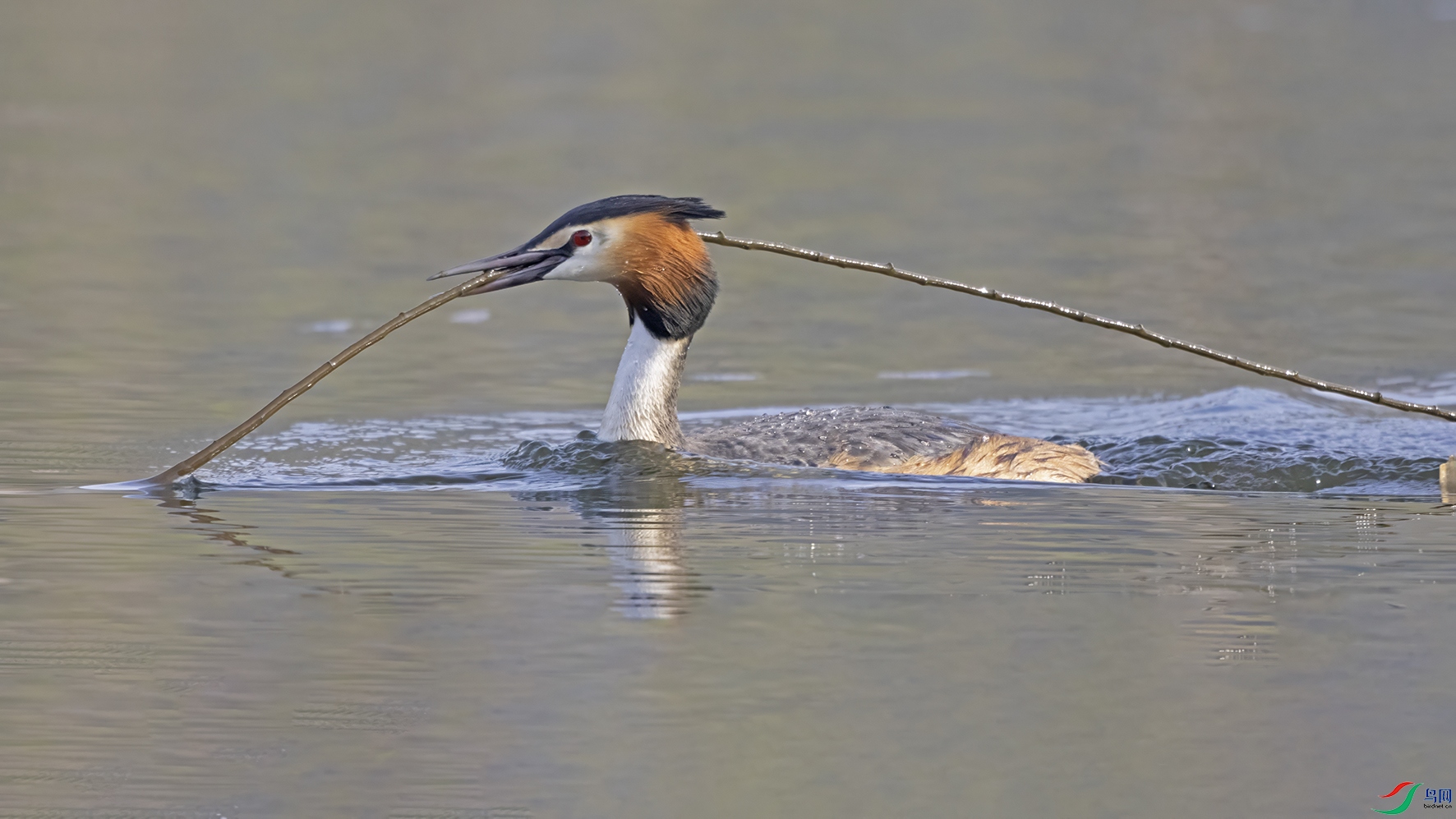 3U2A5061 ���� 2.jpg