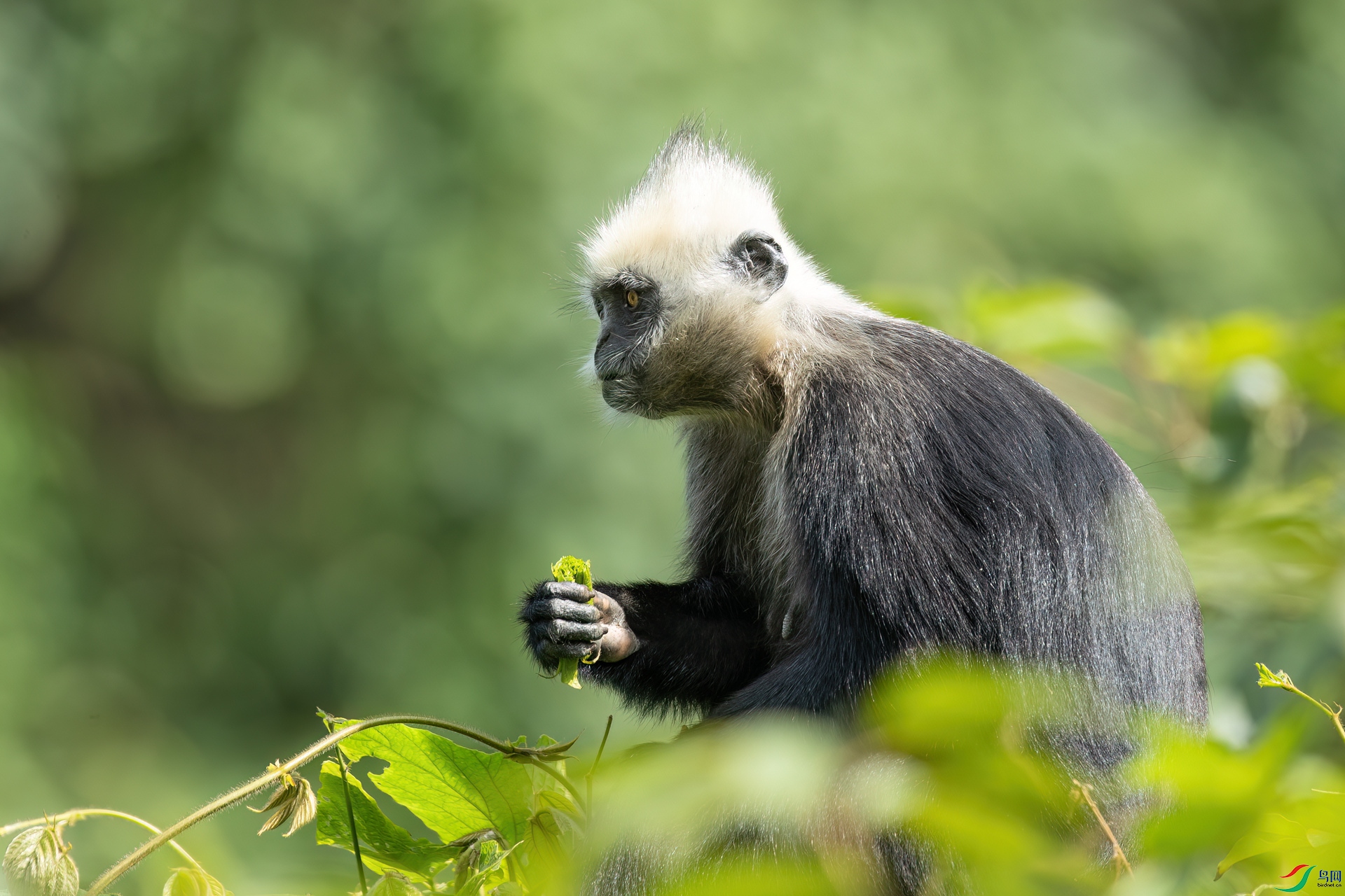 B86I3999 _����.jpg