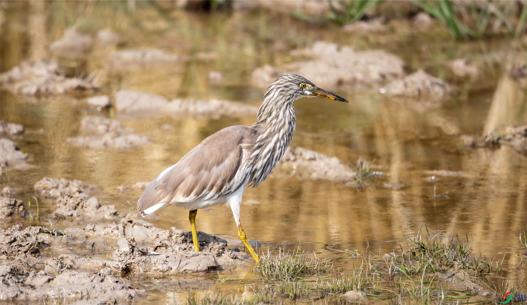 ���� ��ס901 ����.jpg