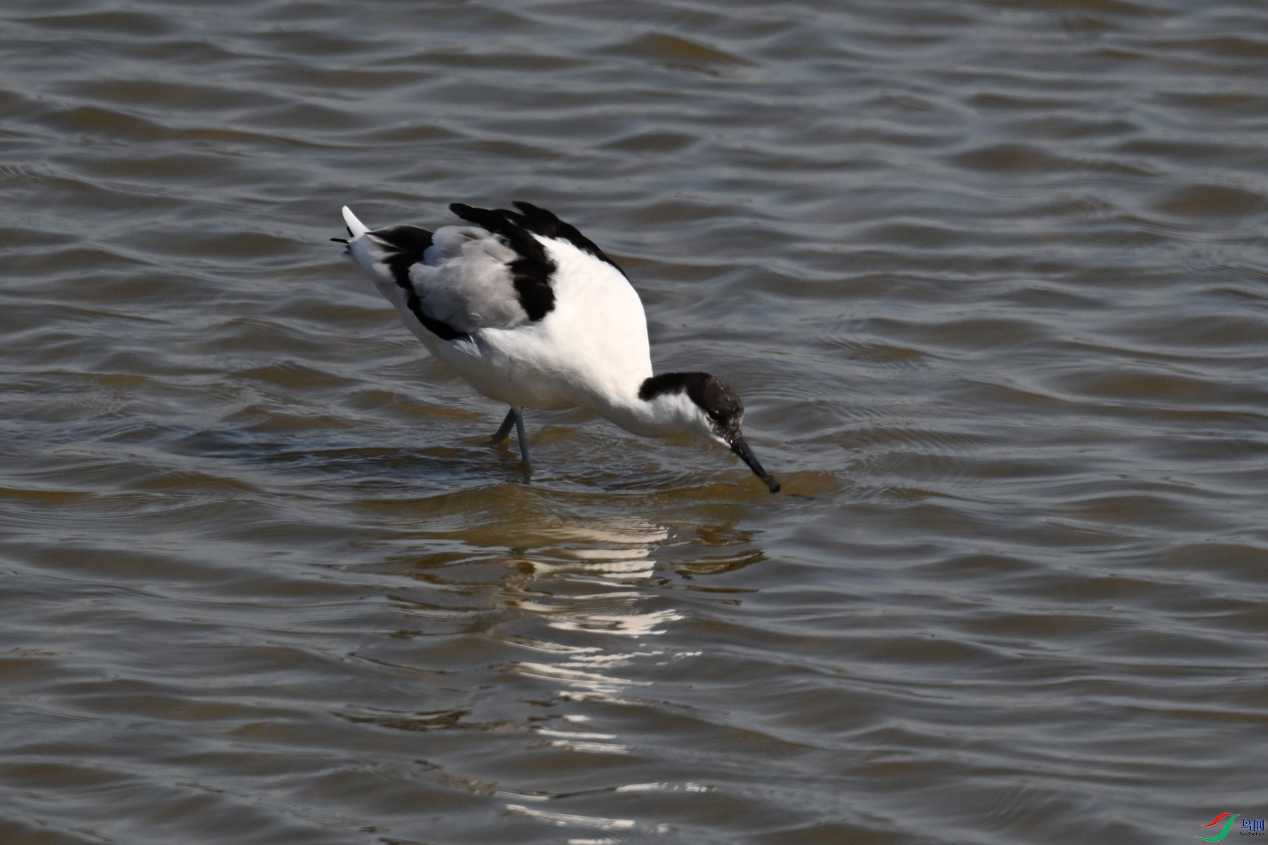 DSC_8270.JPG
