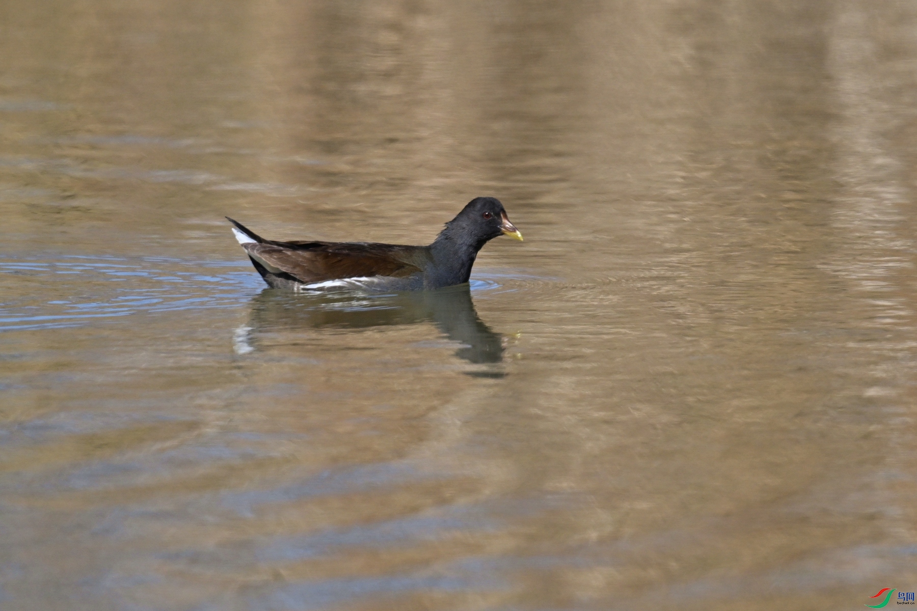 DSC_8219.JPG