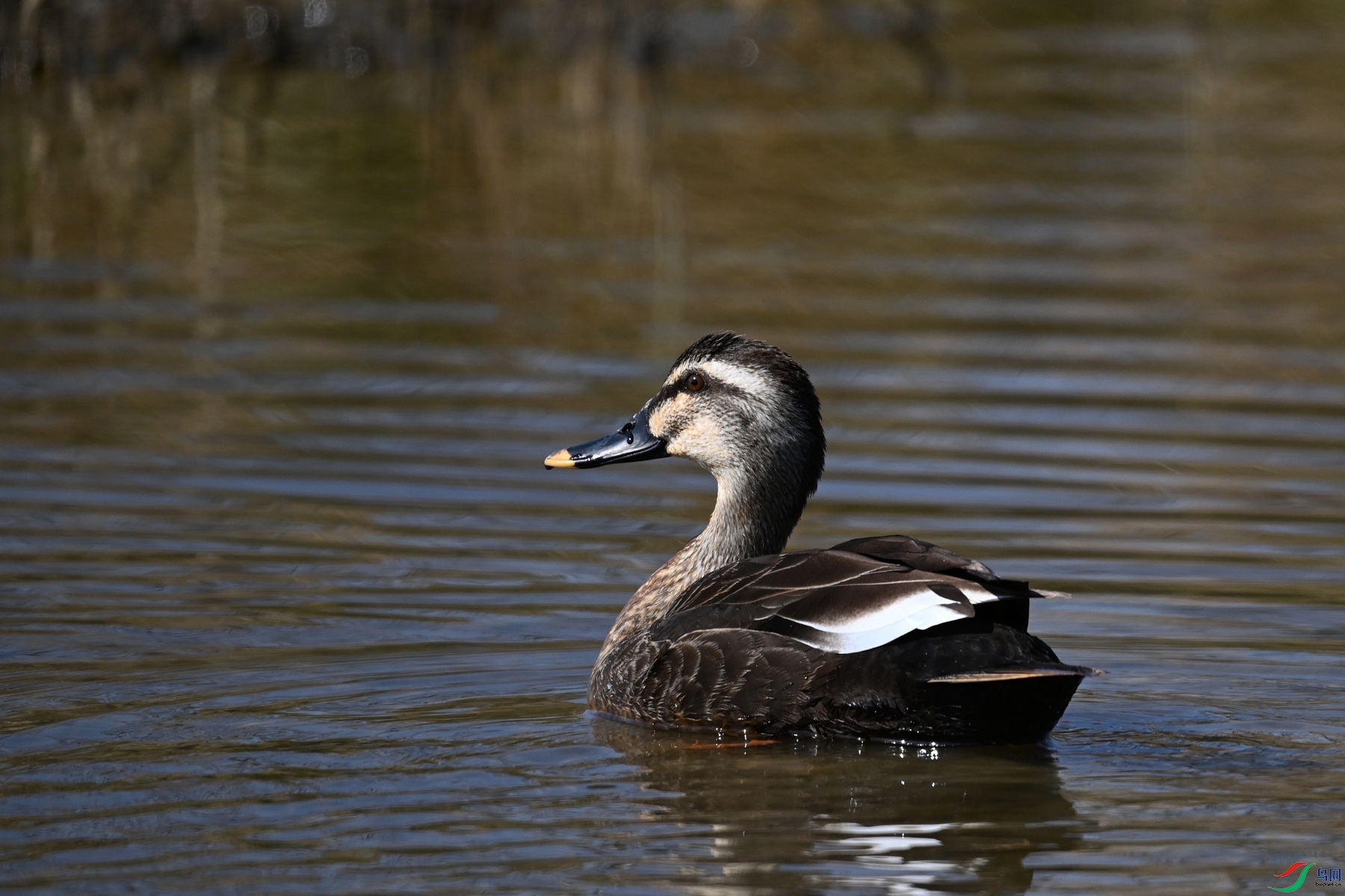 DSC_8316.JPG