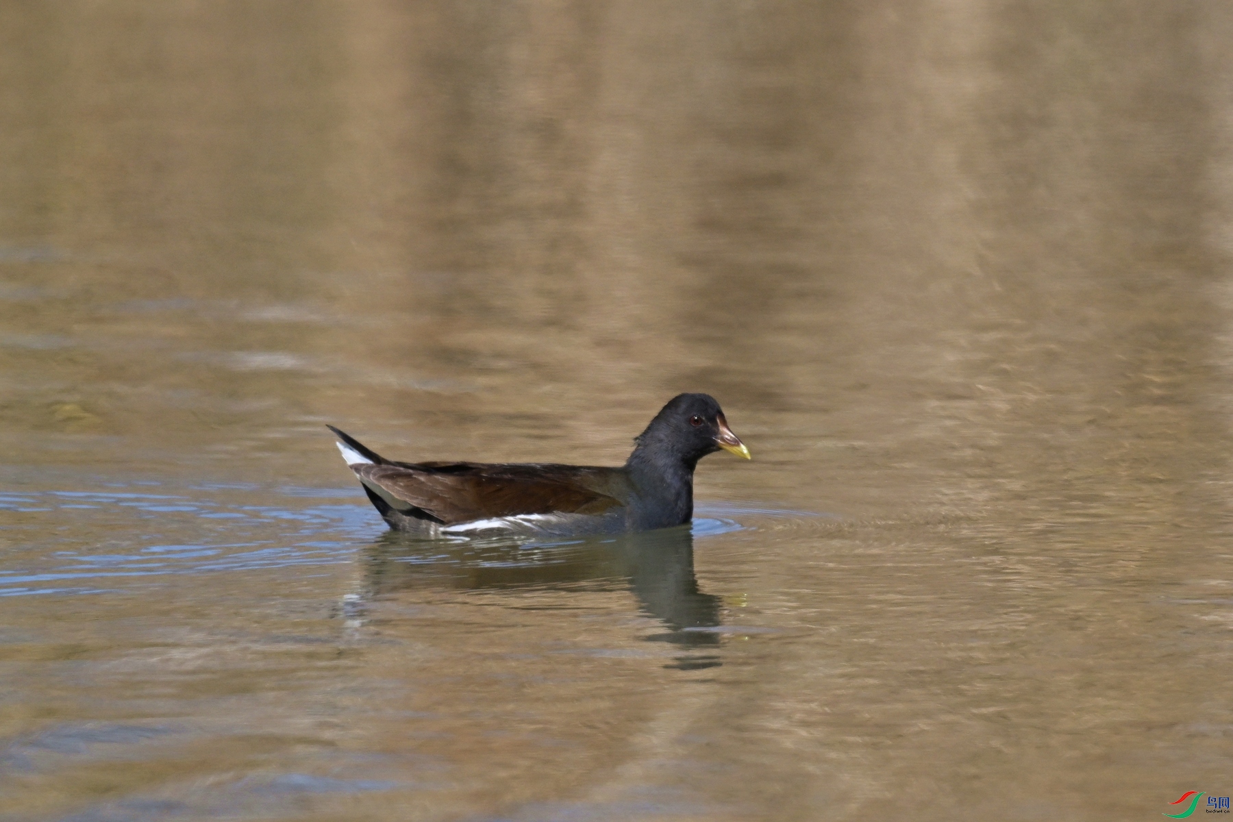 DSC_8220.JPG