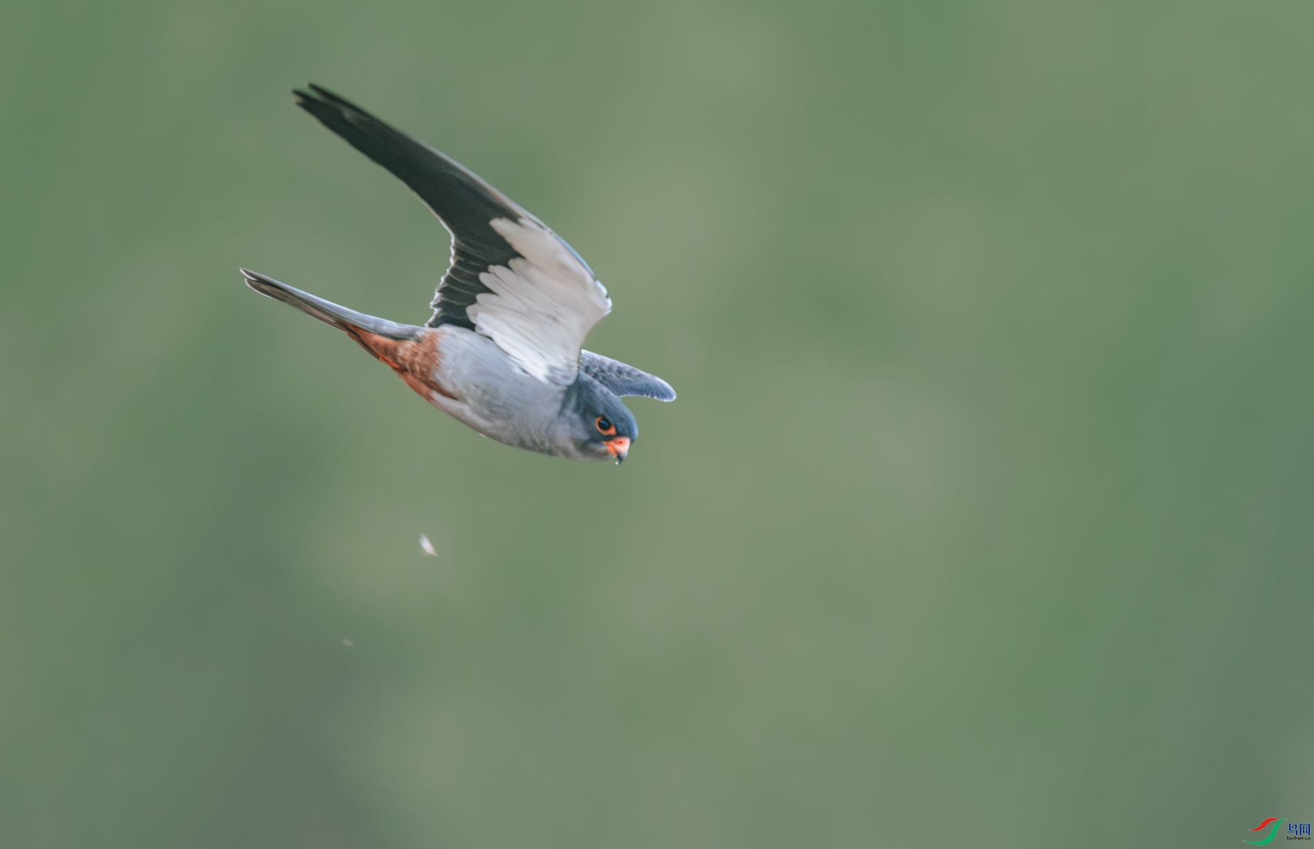 _DSC9548-����ǿ-NR.PNG