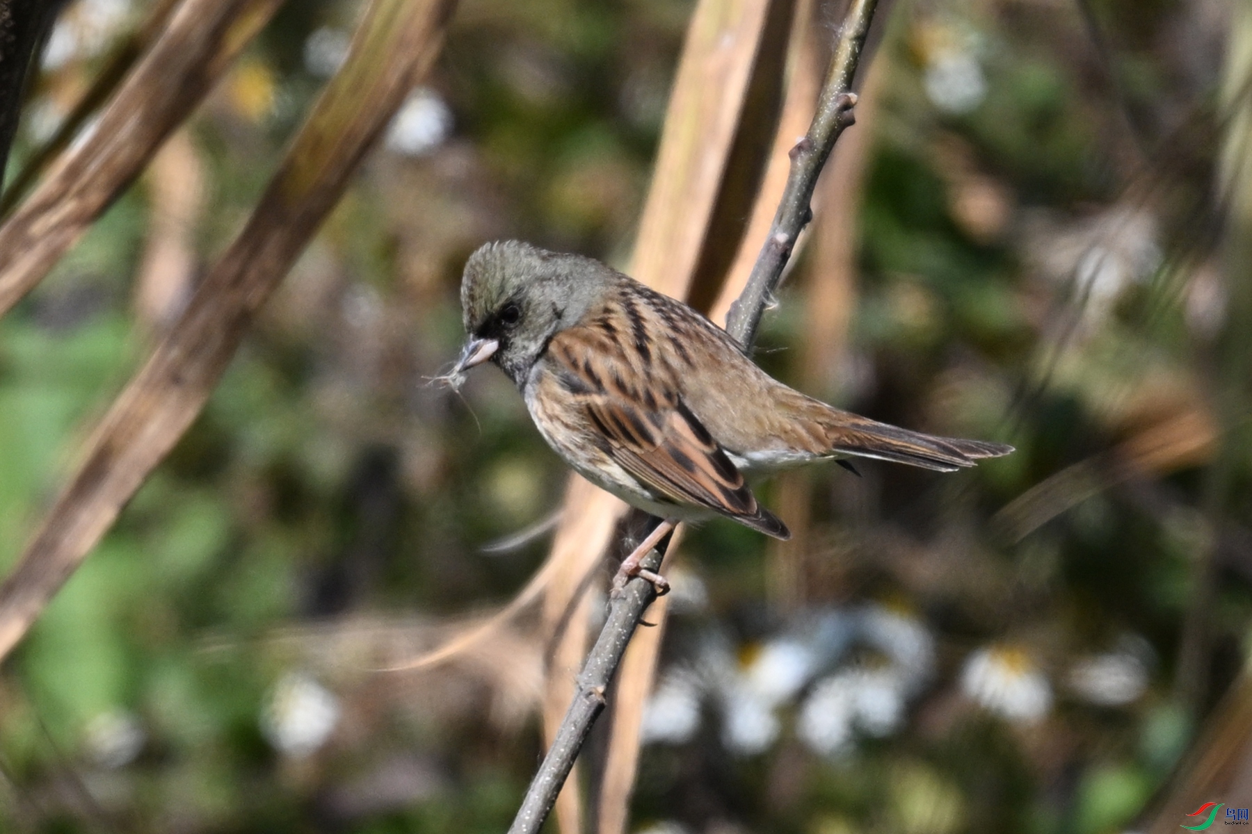 DSC_8314.JPG