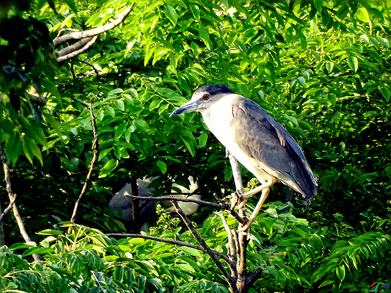 DSC04772_����.jpg