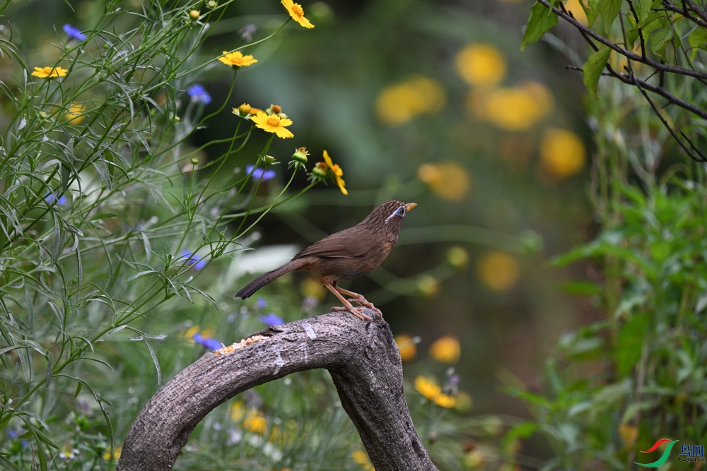 DSC_9822.JPG