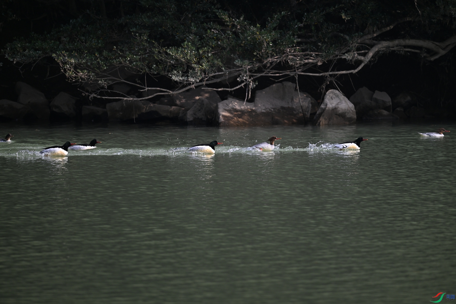 DSC_7144.JPG