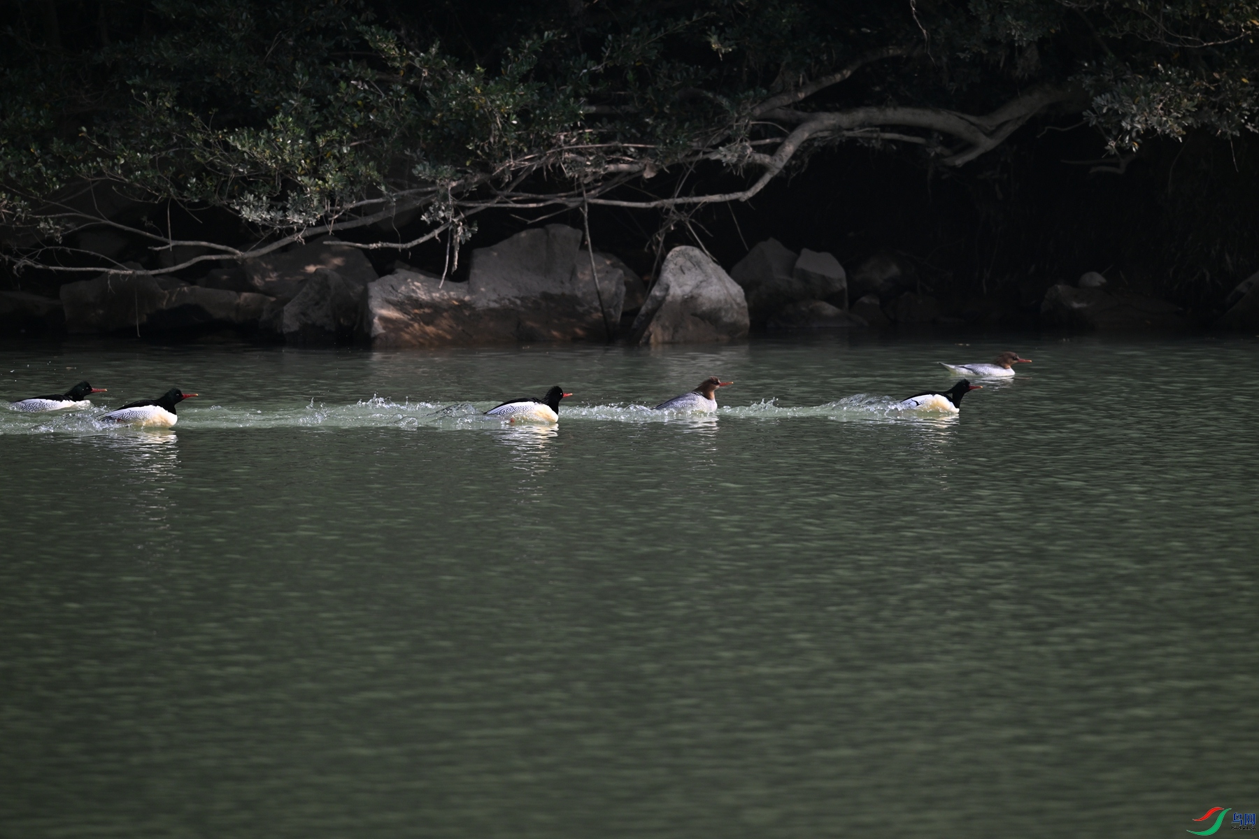 DSC_7150.JPG