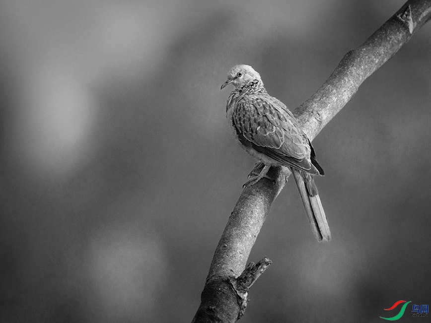 0R5A0402 ����.jpg