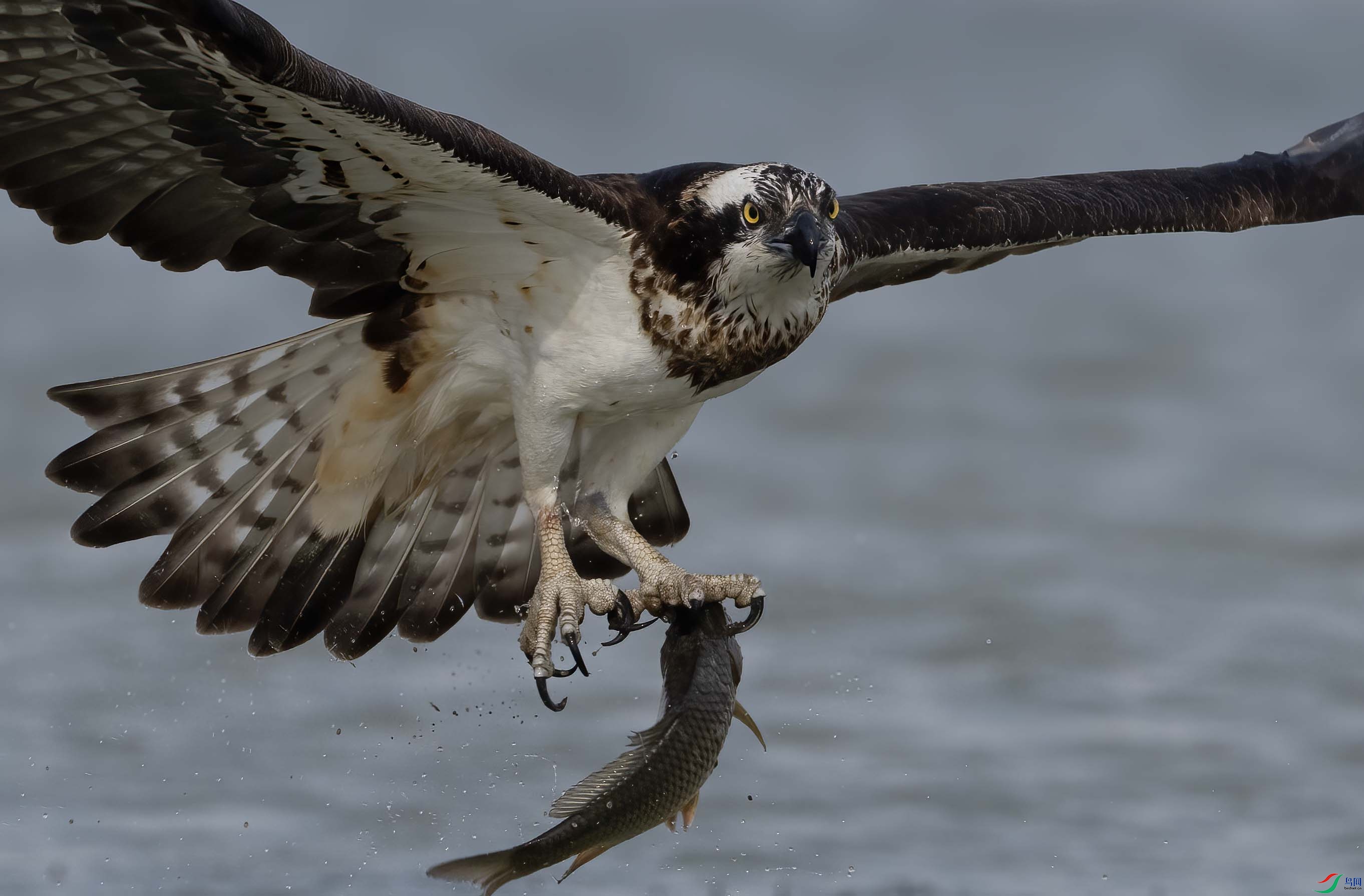 DSC06251 - ���� ����.jpg