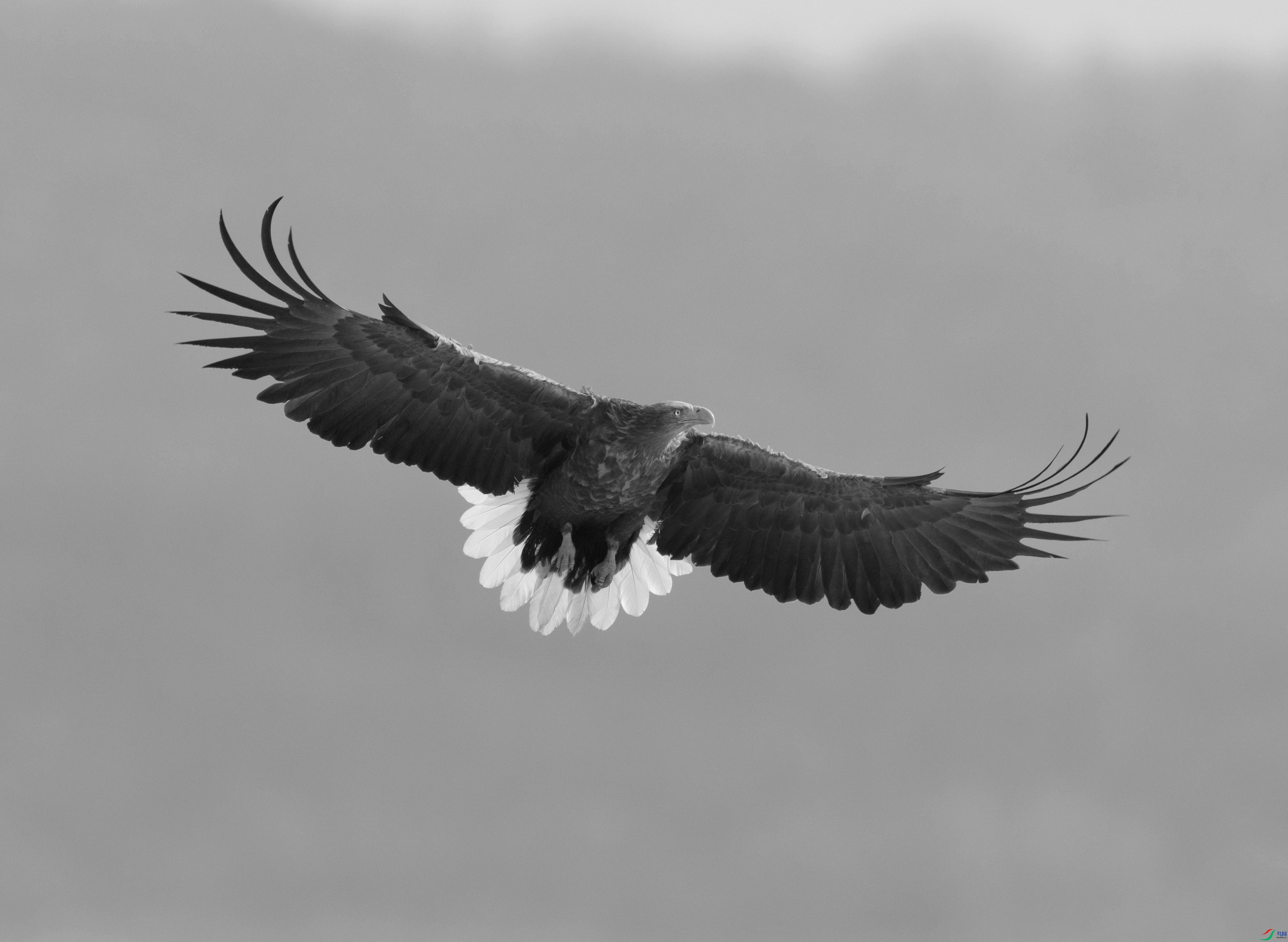 DSC07610 ���� 2.jpg