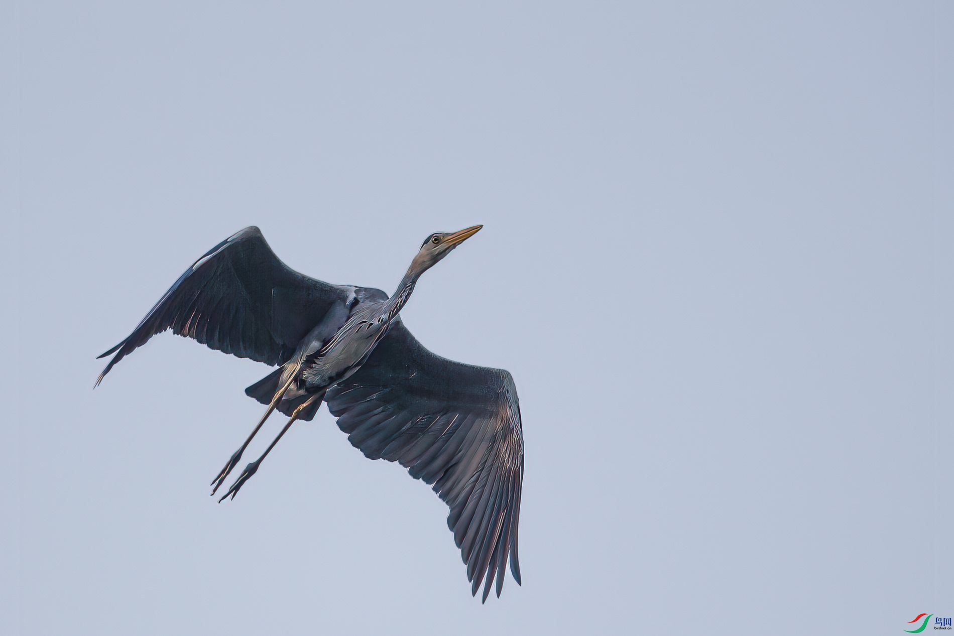 AQ4P1024-1.jpg