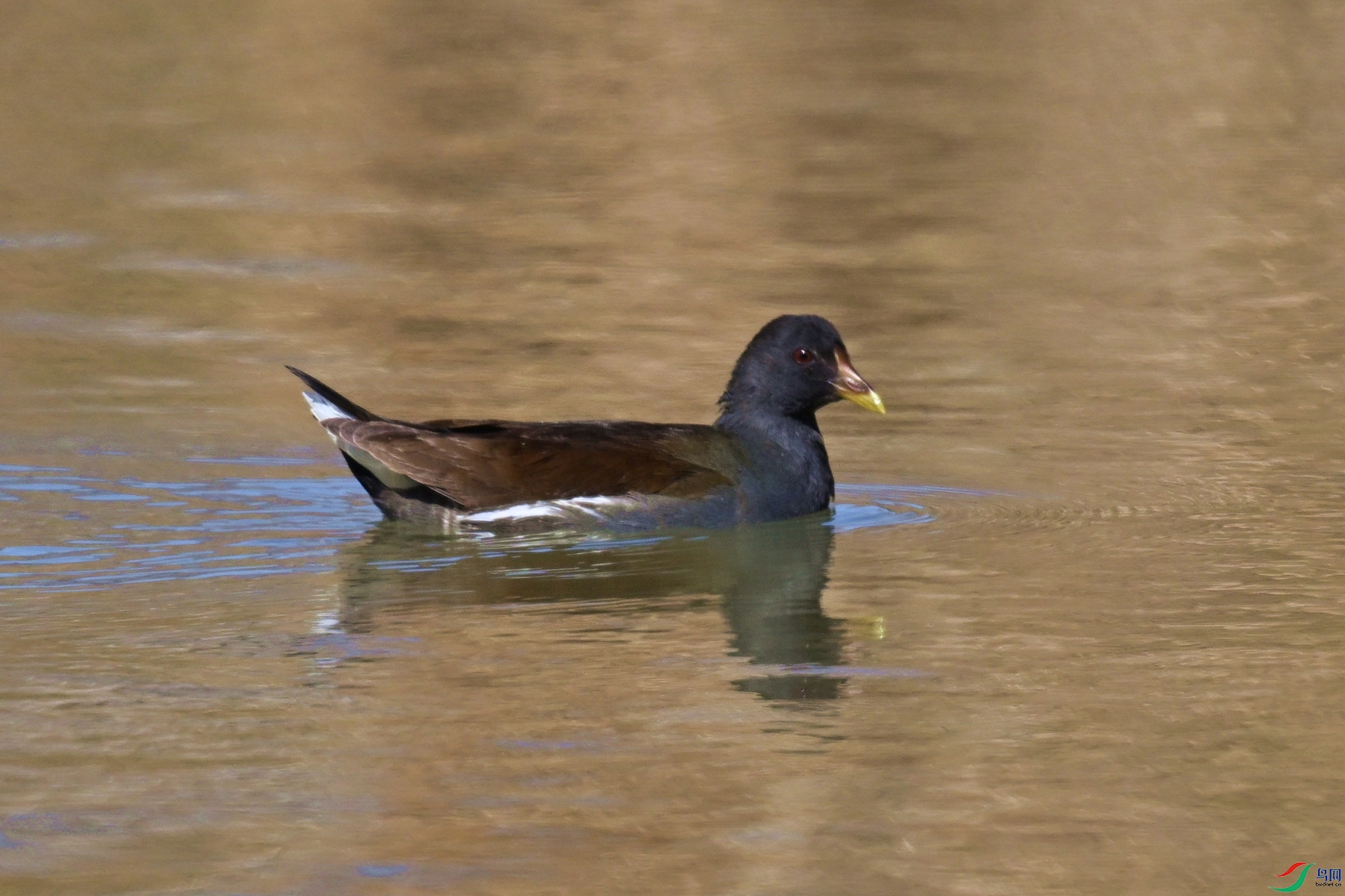 DSC_8221.JPG